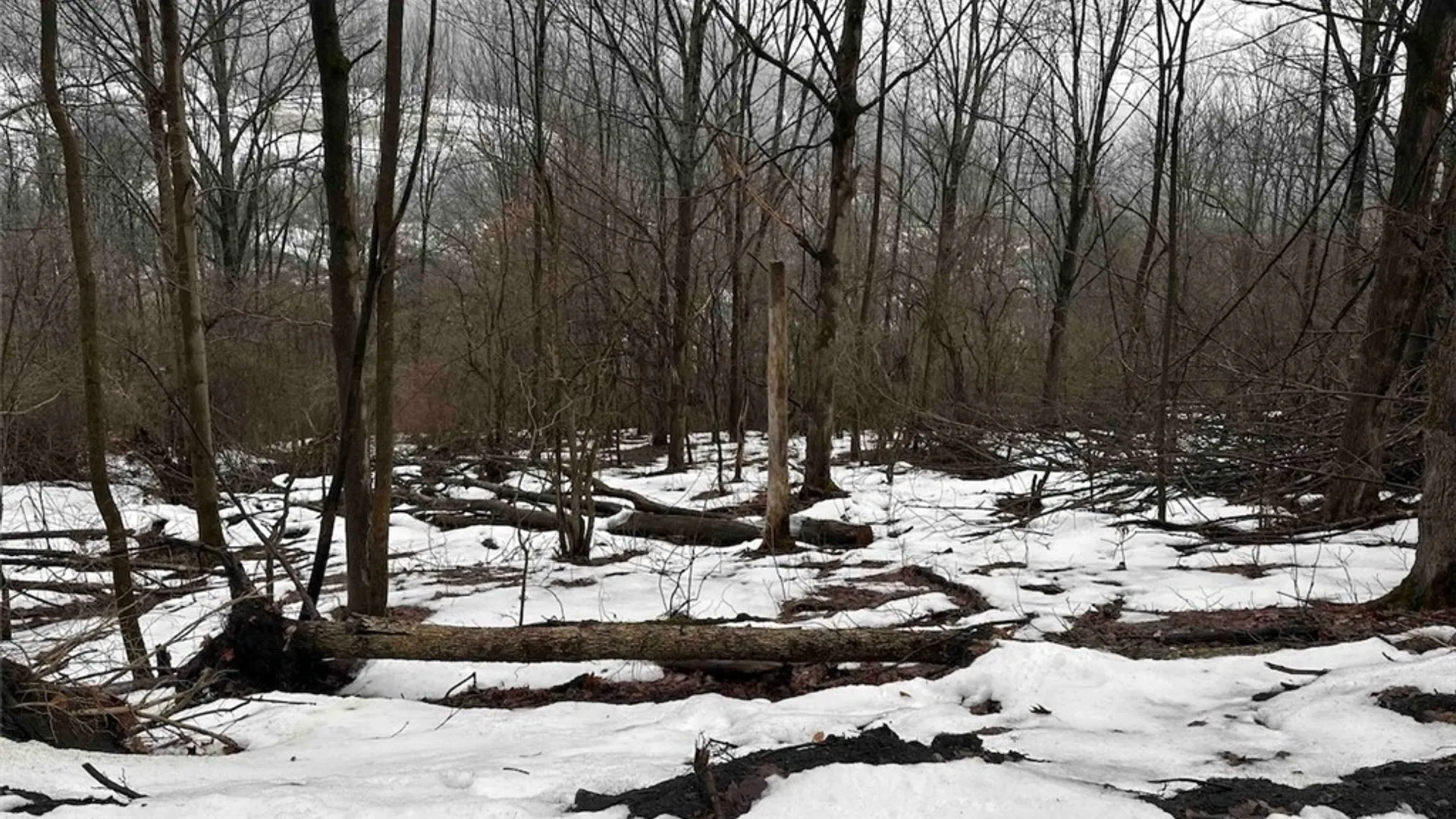 Property at Route 16, Ischua, NY 14743 25