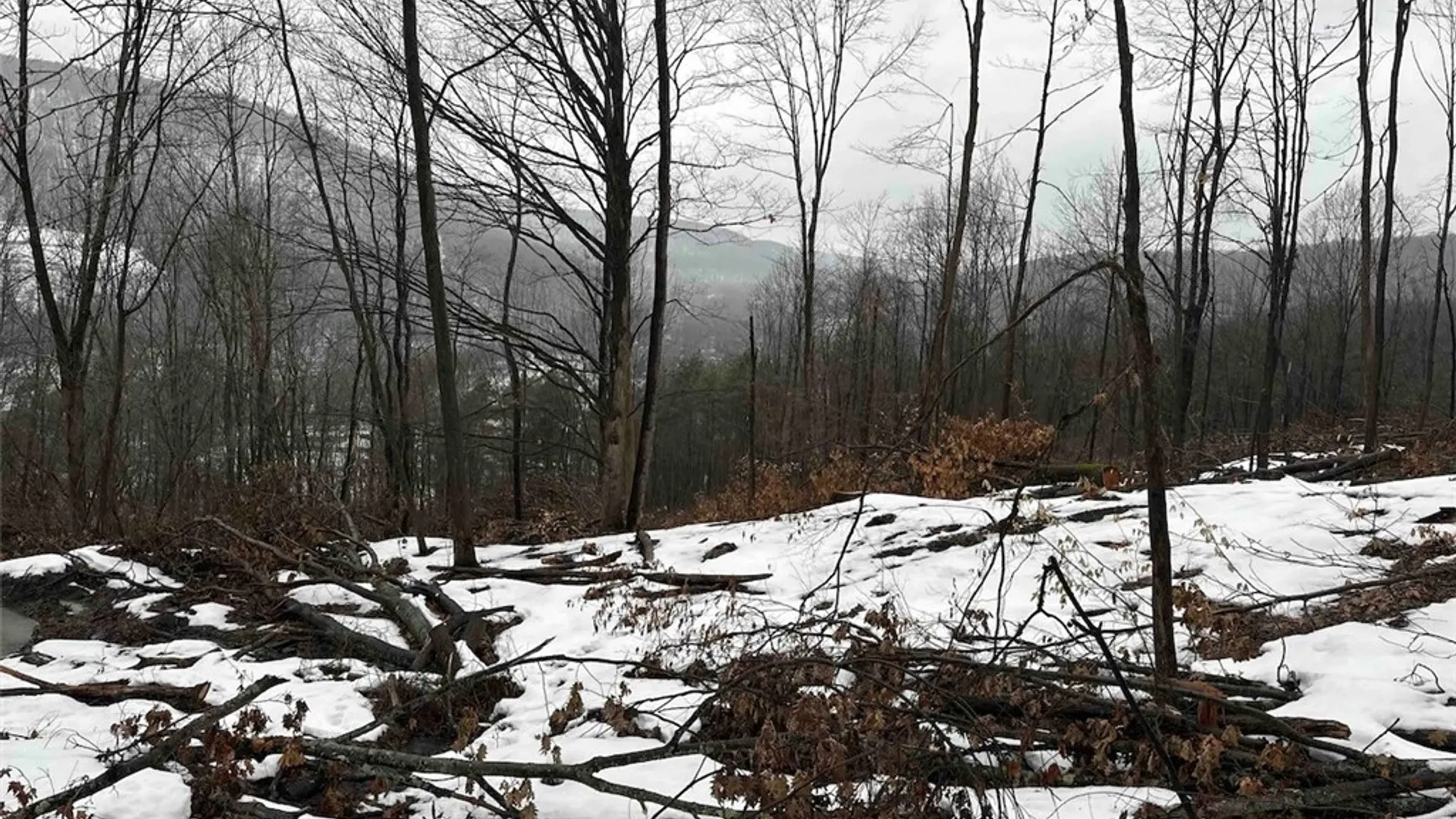 Property at Route 16, Ischua, NY 14743 29