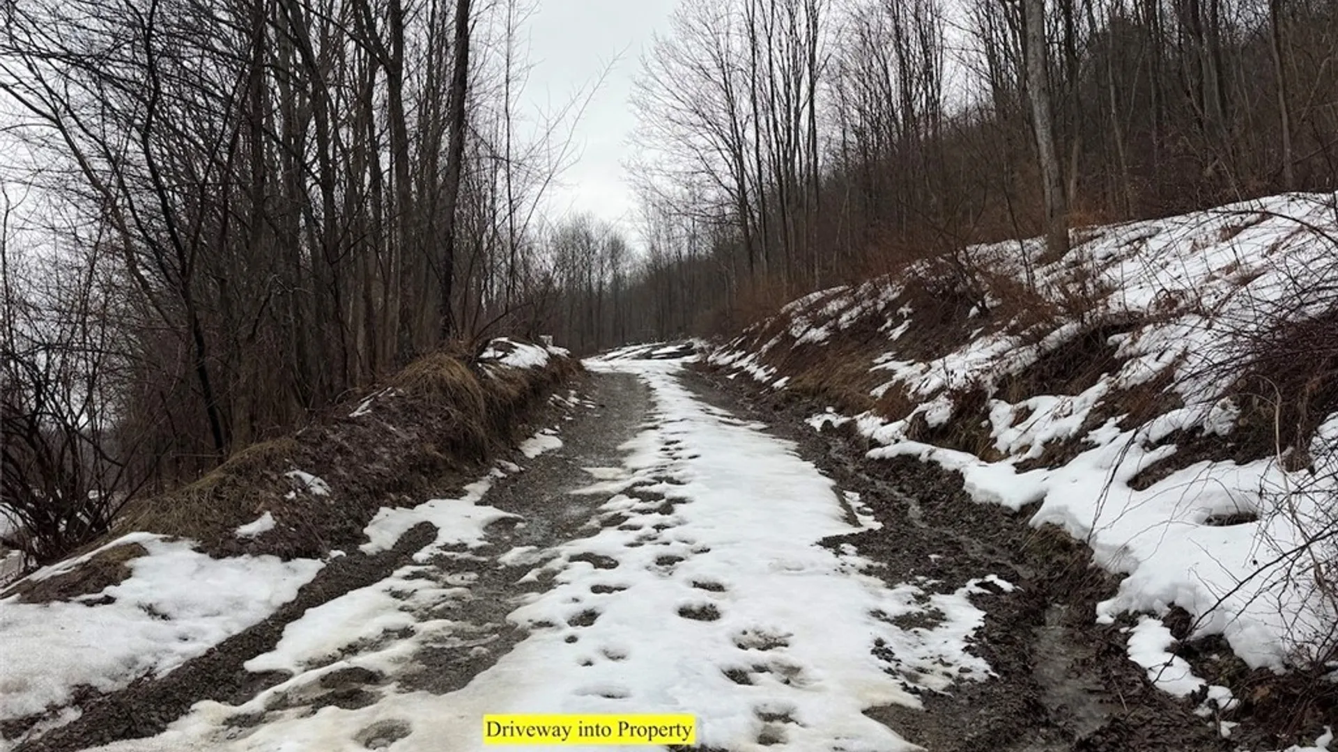 Property at Route 16, Ischua, NY 14743 3