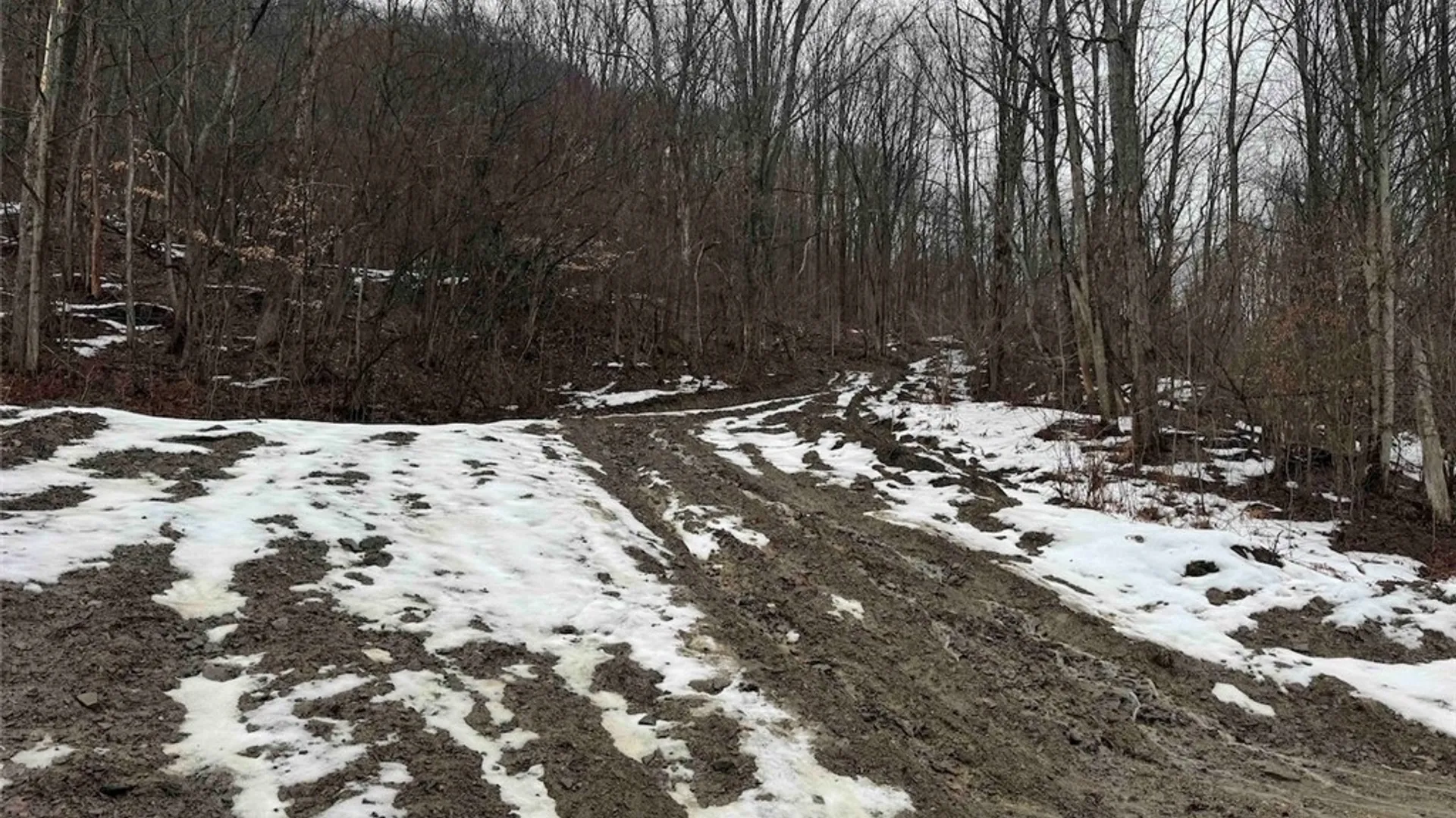 Property at Route 16, Ischua, NY 14743 5