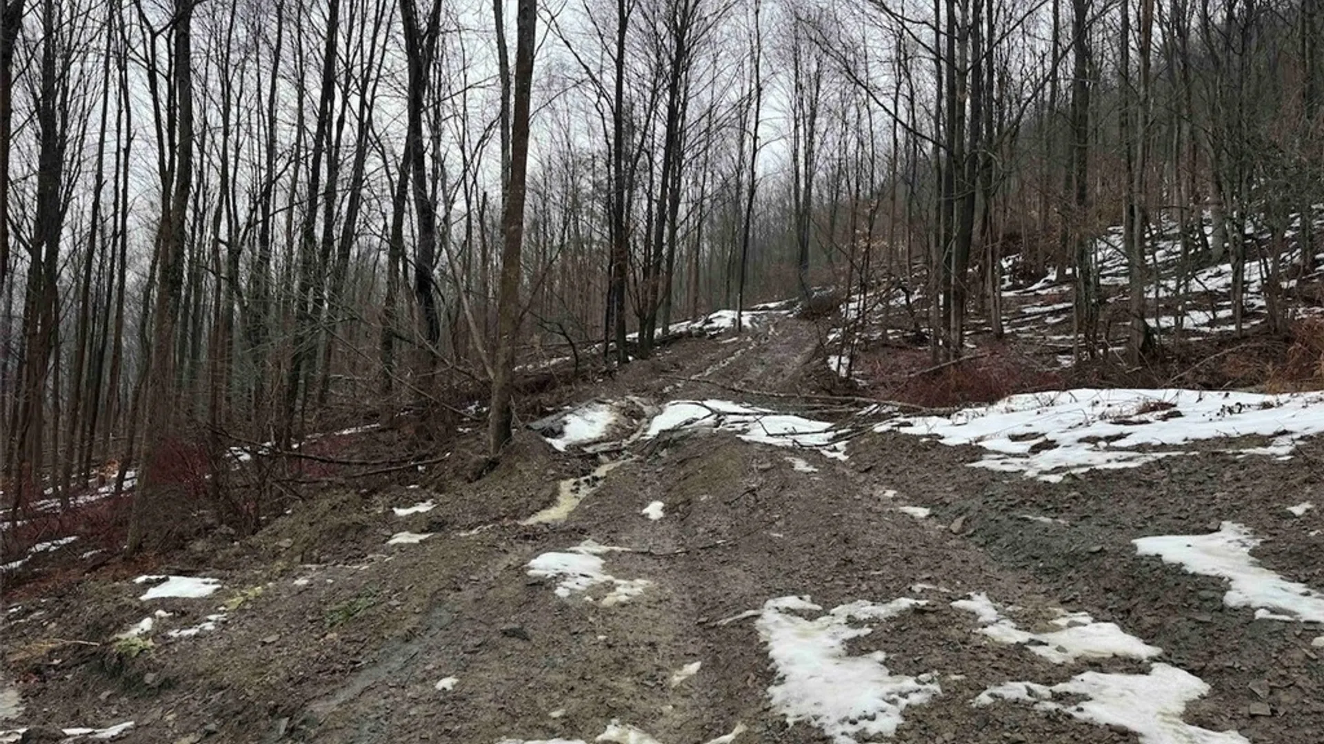 Property at Route 16, Ischua, NY 14743 6