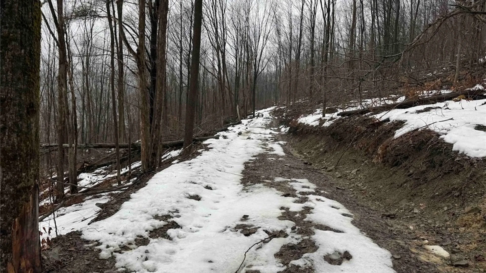 Property at Route 16, Ischua, NY 14743 8