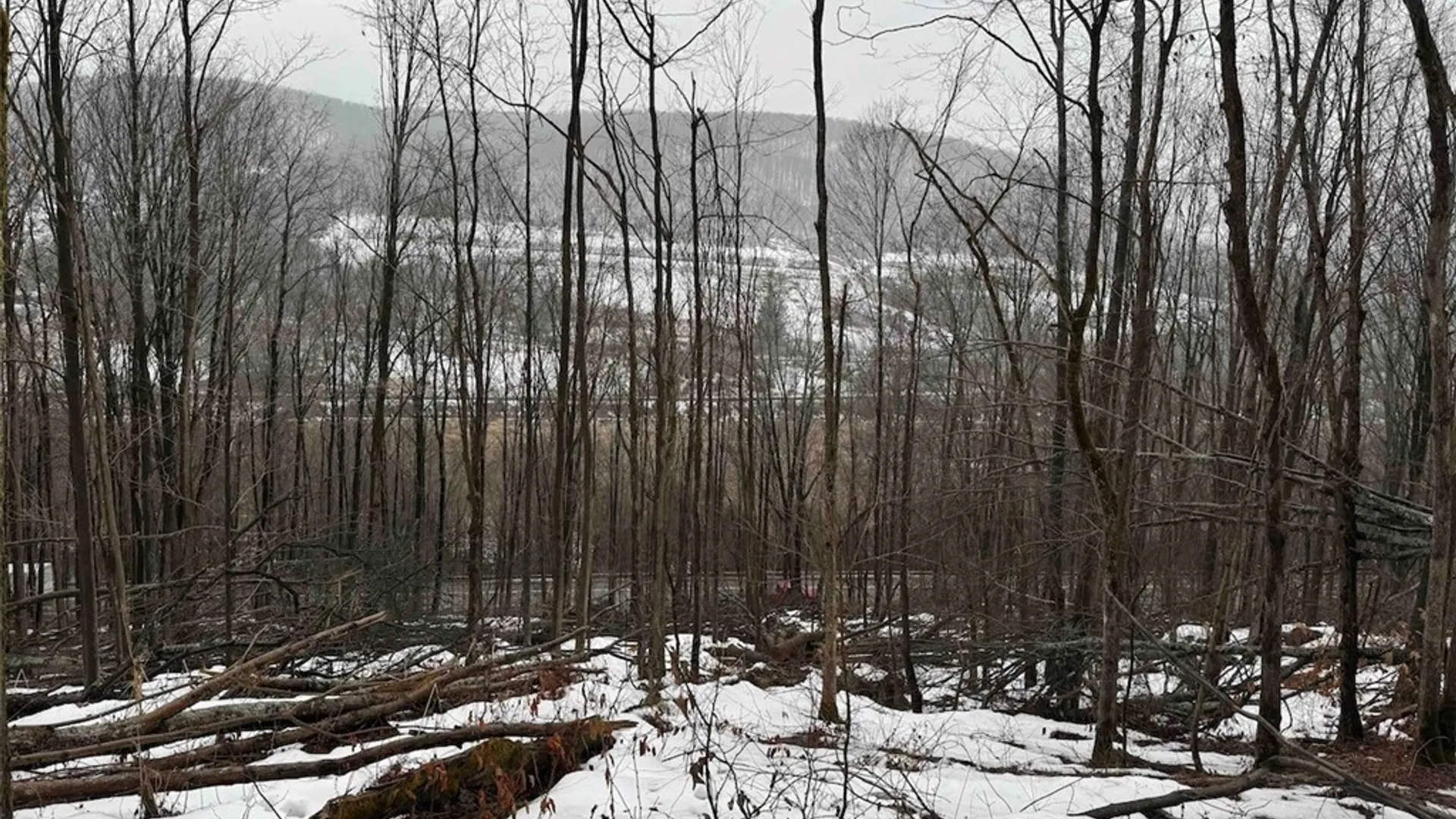 Property at Route 16, Ischua, NY 14743 9