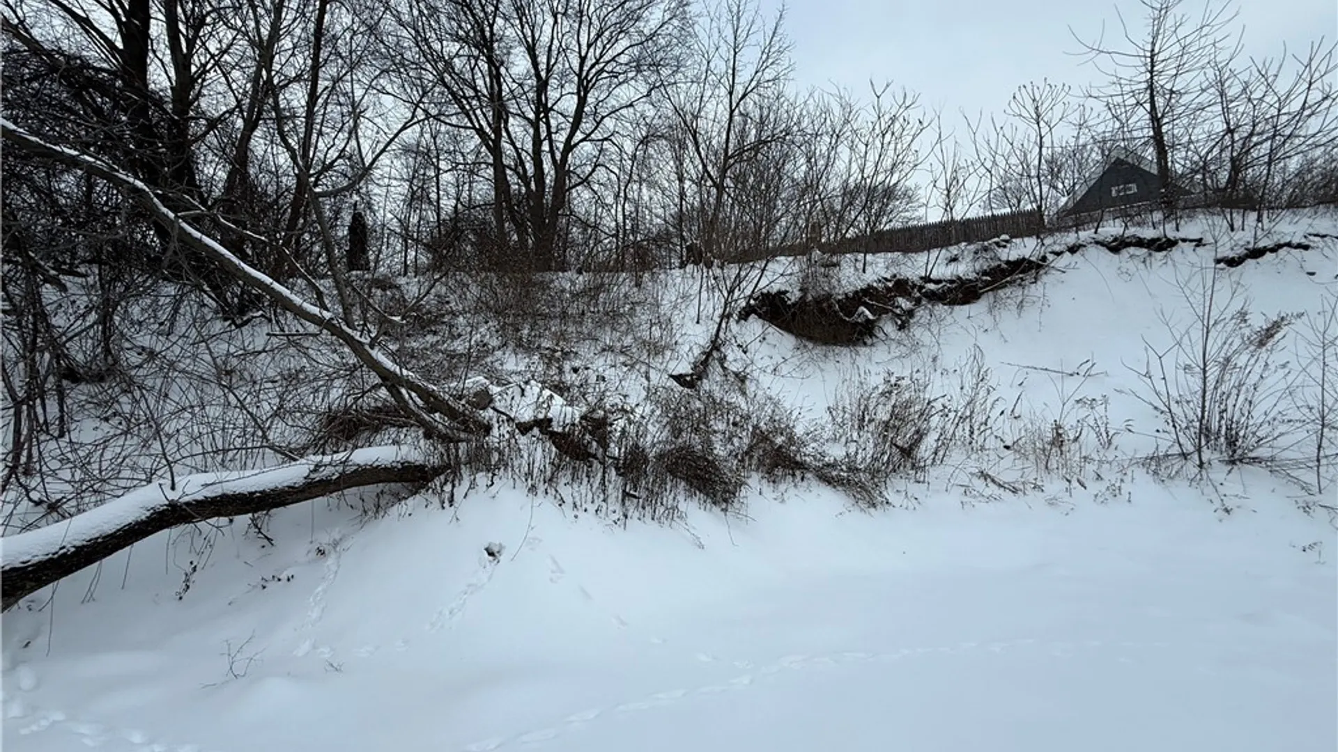 Property at 1455 Burnet Avenue, Syracuse, NY 13206 12