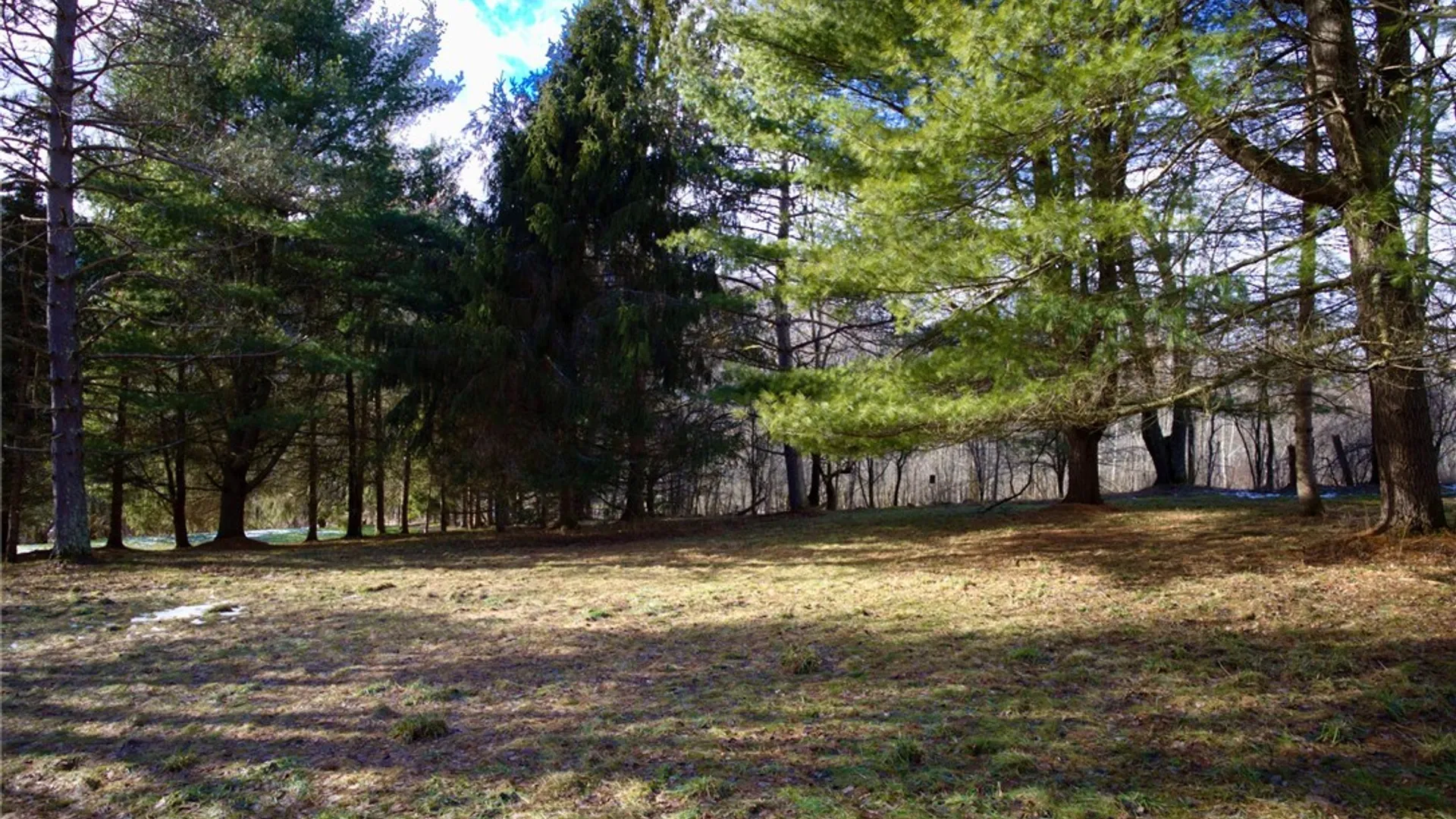 Property at 155 Lee Hollow Road, Bovina, NY 13753 36