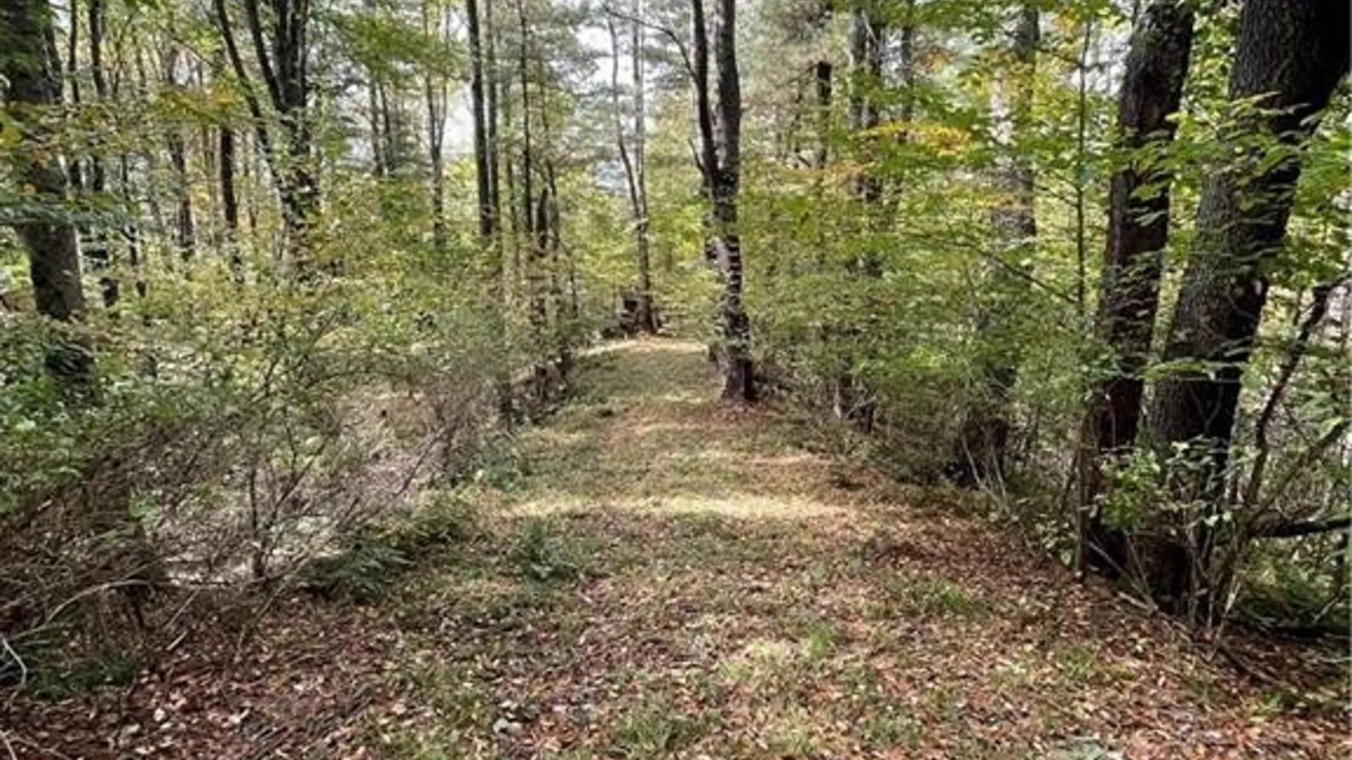 Property at 1134 AKA 235 State Route 248, Independence, NY 14877 35