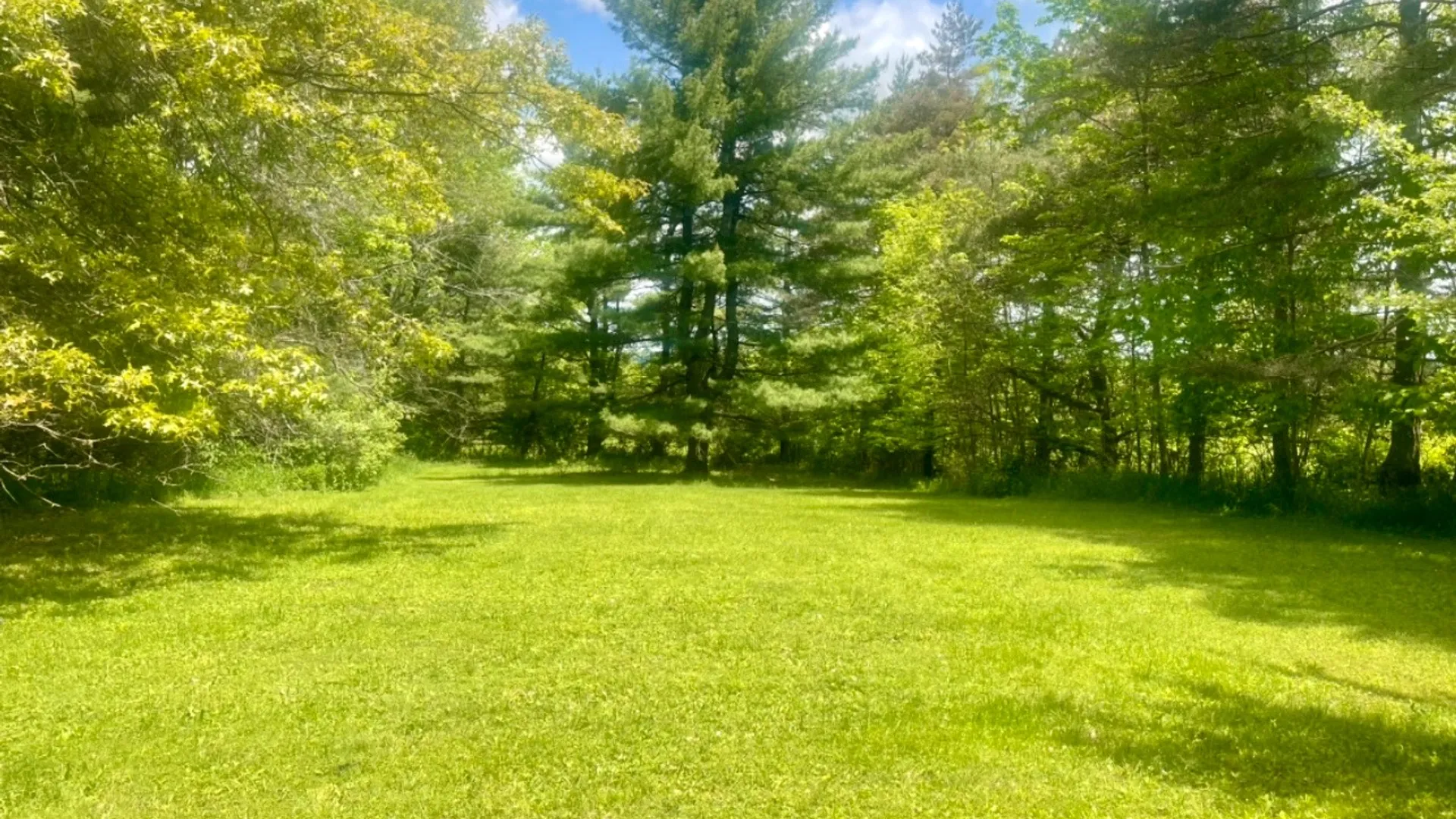 Property at 126 Windy Hill Rd, Stamford, NY 12167 11