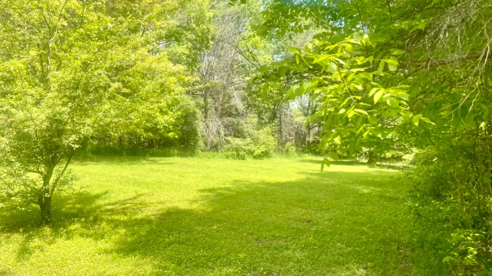 Property at 126 Windy Hill Rd, Stamford, NY 12167 12