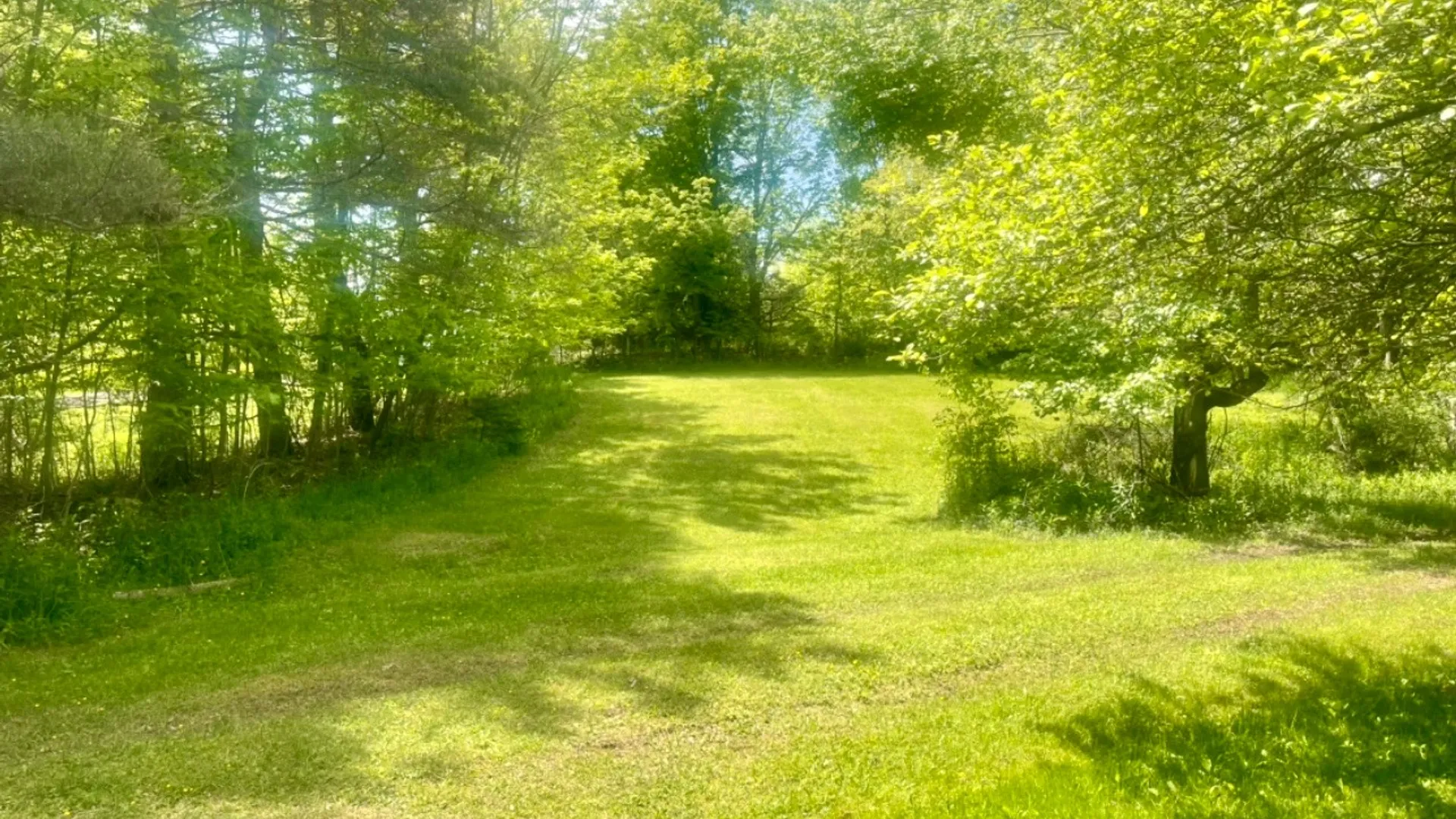 Property at 126 Windy Hill Rd, Stamford, NY 12167 13
