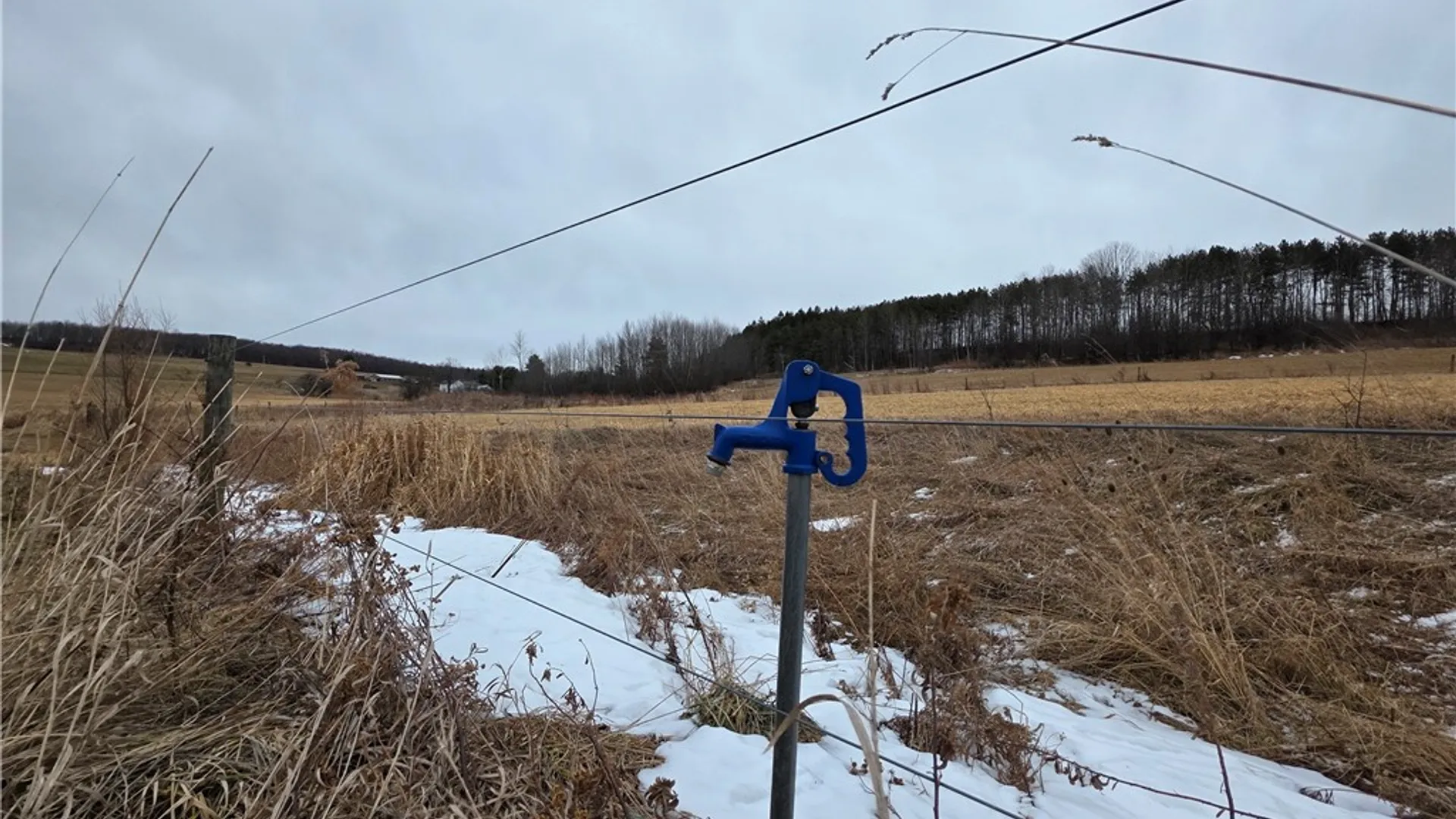 Property at 1300 County Route 82, Troupsburg, NY 14885 10