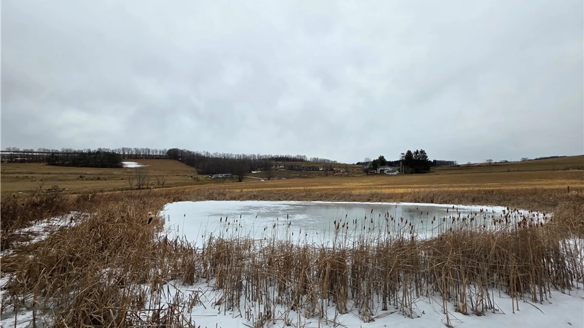 Property at 1300 County Route 82, Troupsburg, NY 14885 21