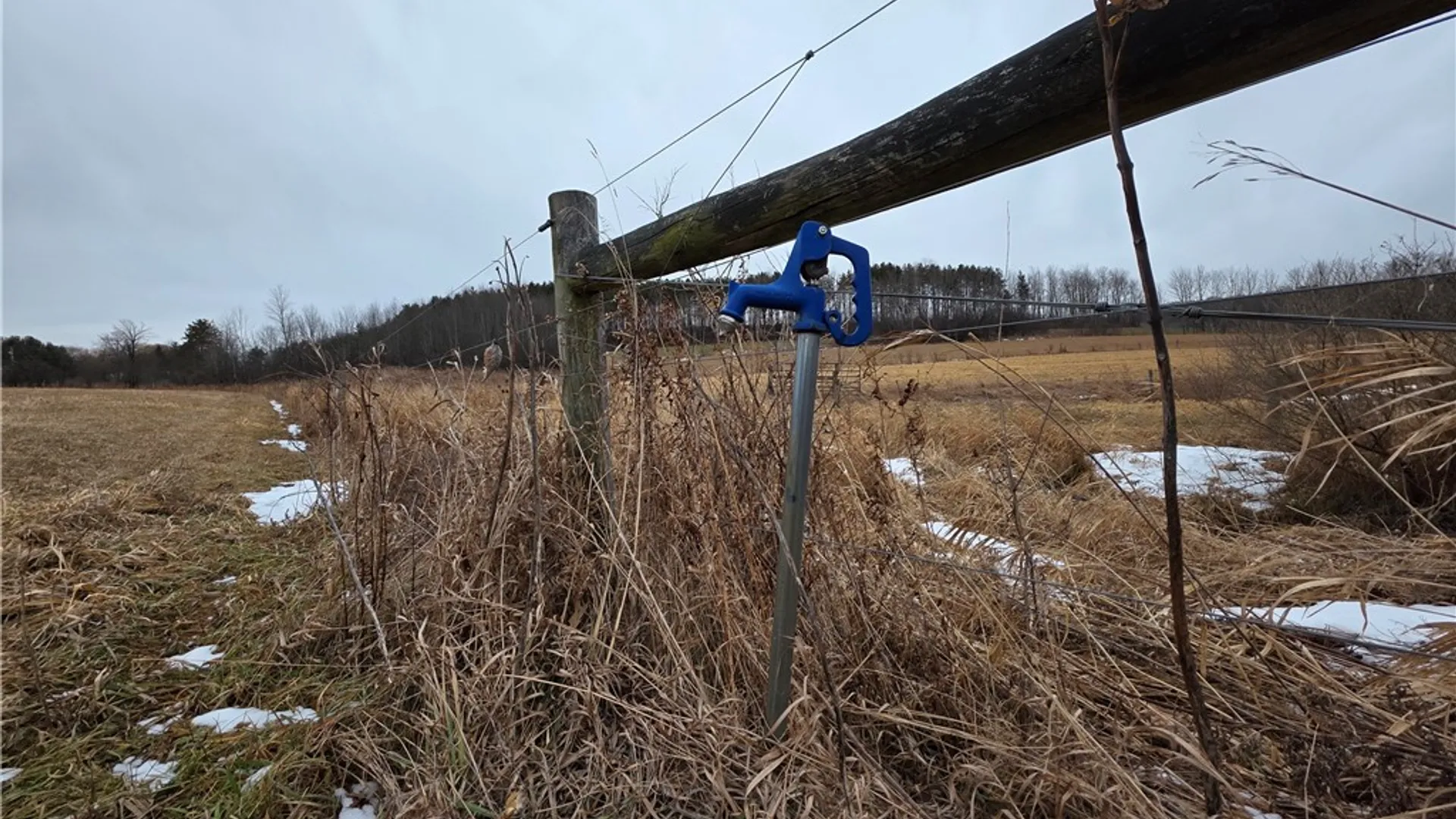 Property at 1300 County Route 82, Troupsburg, NY 14885 7