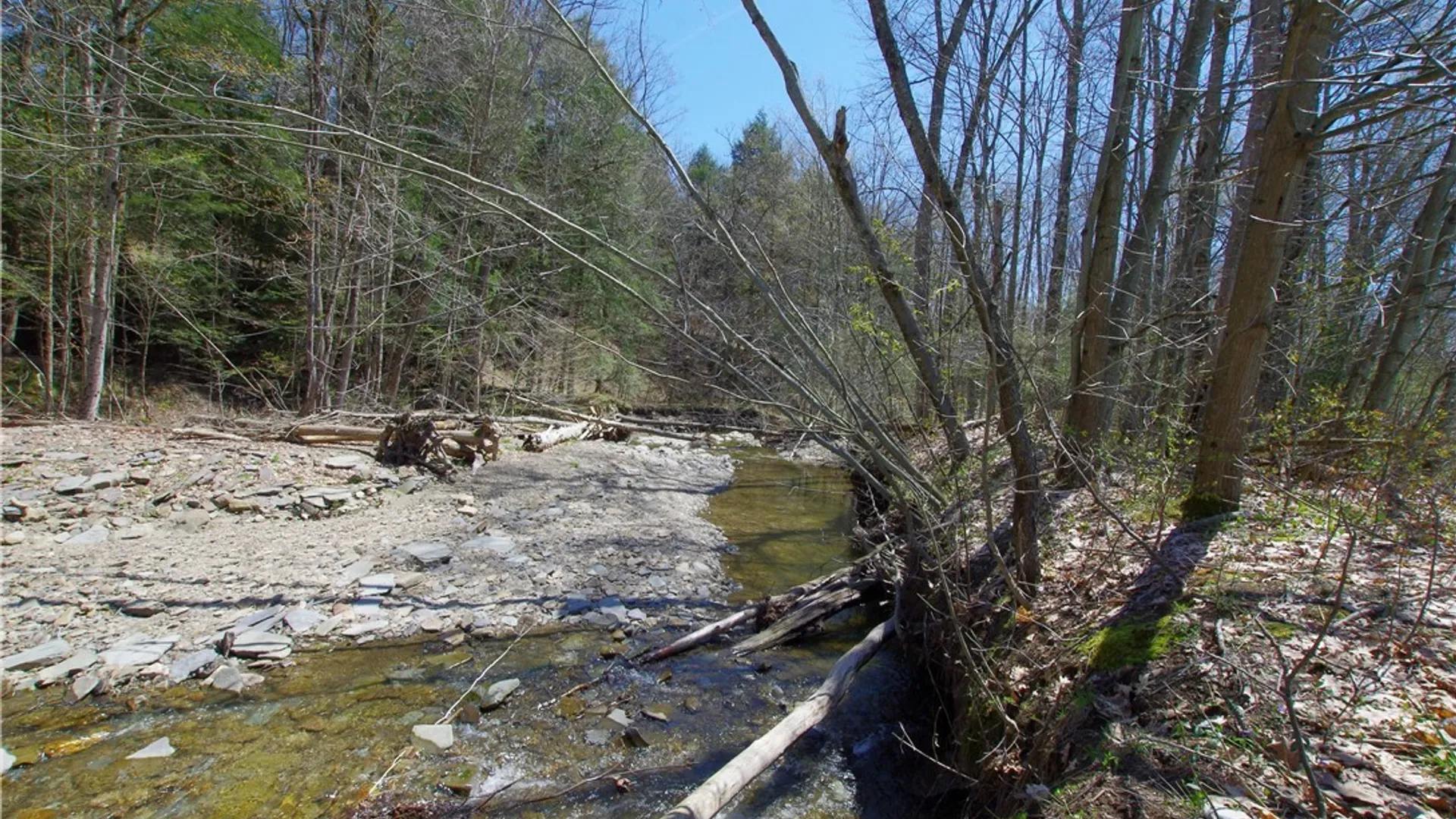 Property at 3588 Dutch Hollow Road, Ellery, NY 14701 10