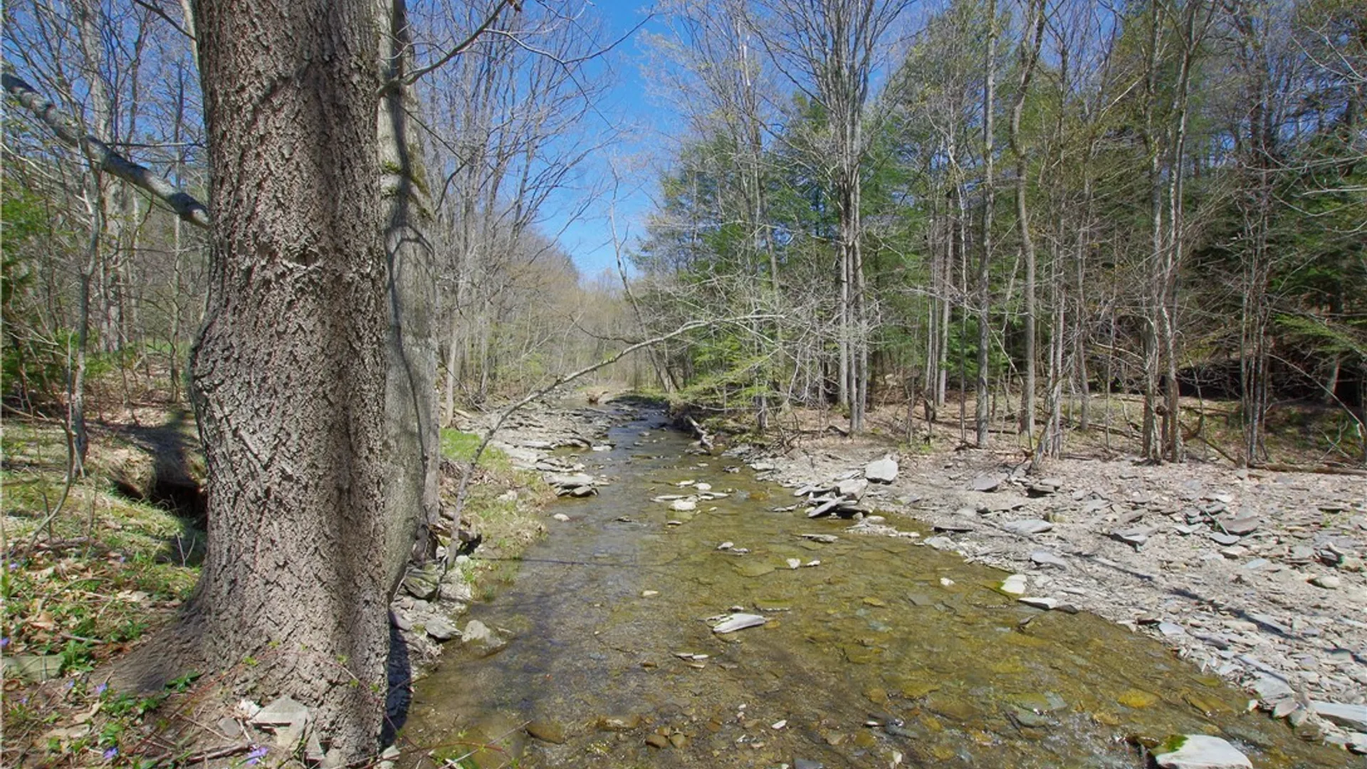 Property at 3588 Dutch Hollow Road, Ellery, NY 14701 3