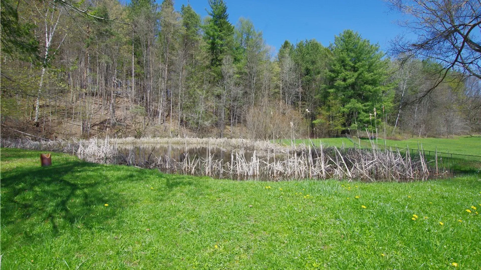 Property at 3588 Dutch Hollow Road, Ellery, NY 14701 4