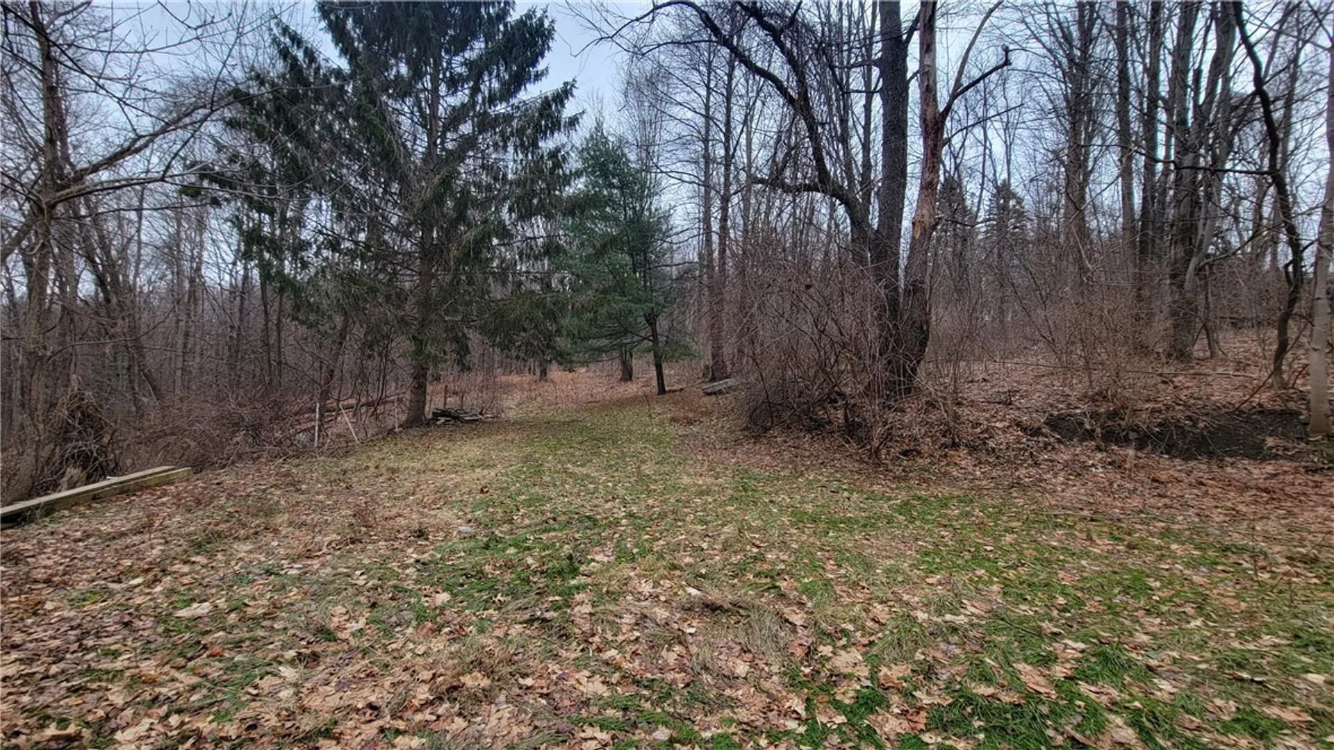 Property at 7585 East Avenue, Springwater, NY 14560 4