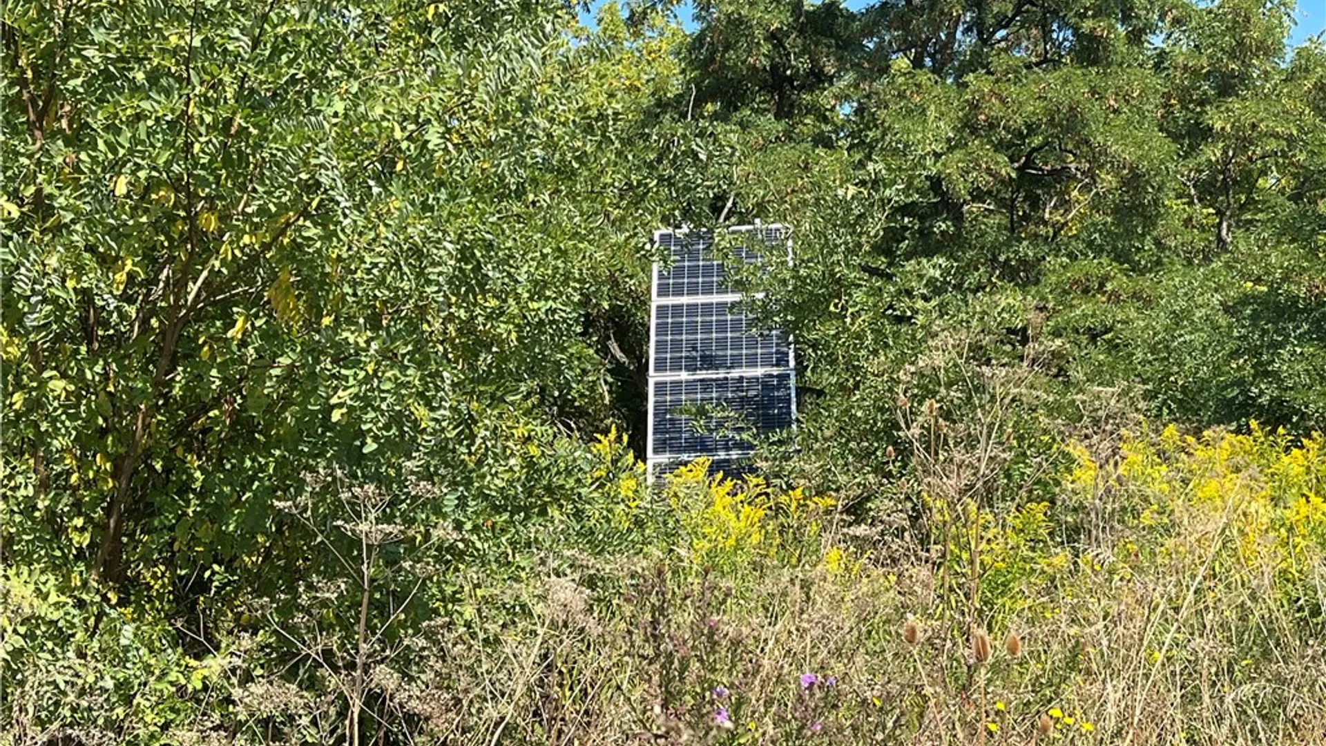 Property at 8850 Route 414, Lodi, NY 14860 13