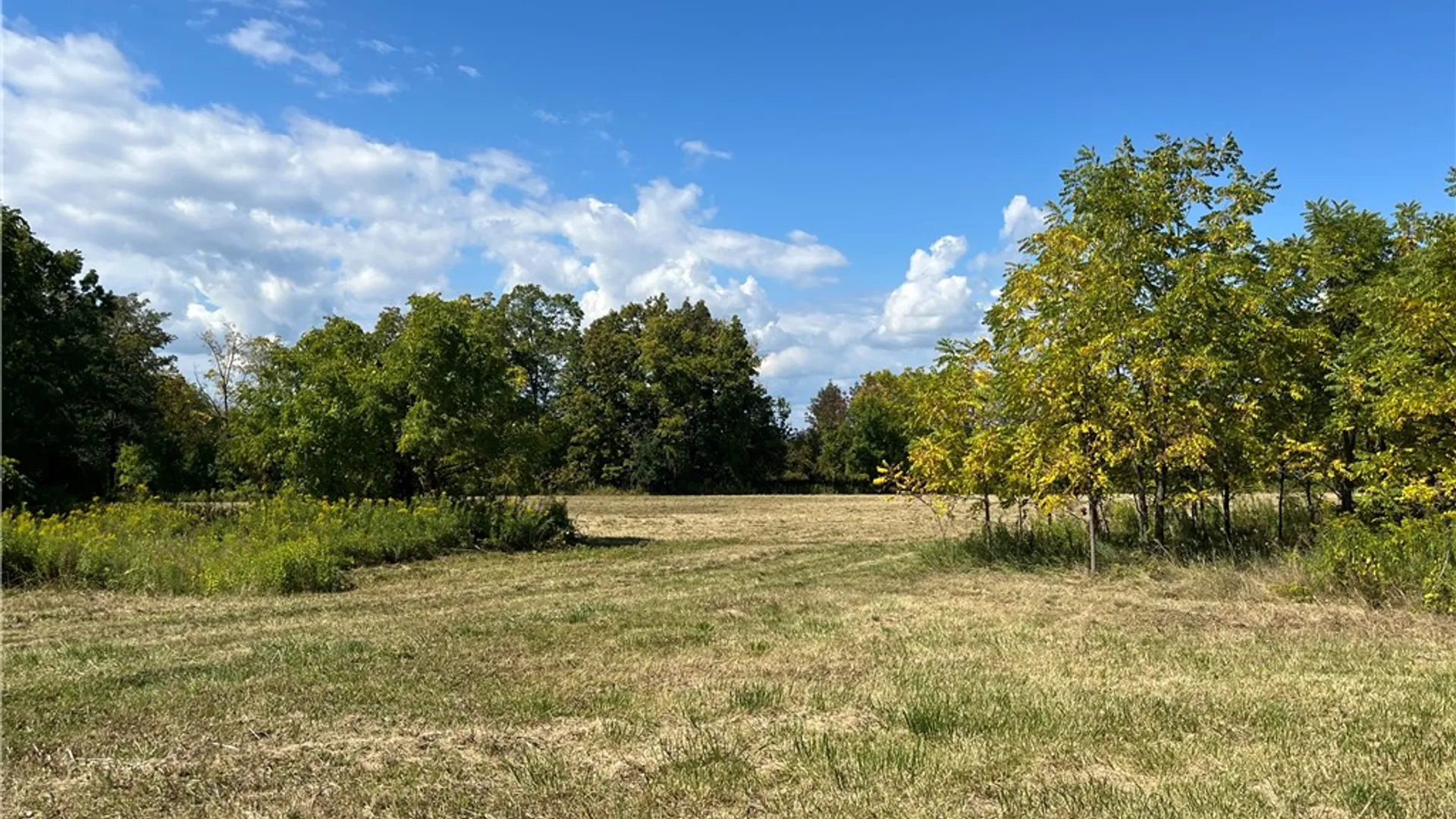 Property at 8850 Route 414, Lodi, NY 14860 14