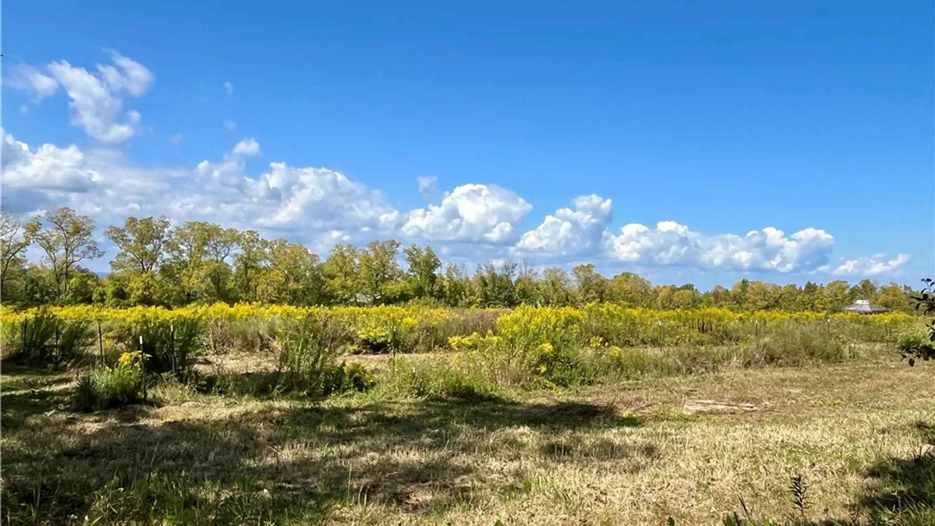 Property at 8850 Route 414, Lodi, NY 14860 16