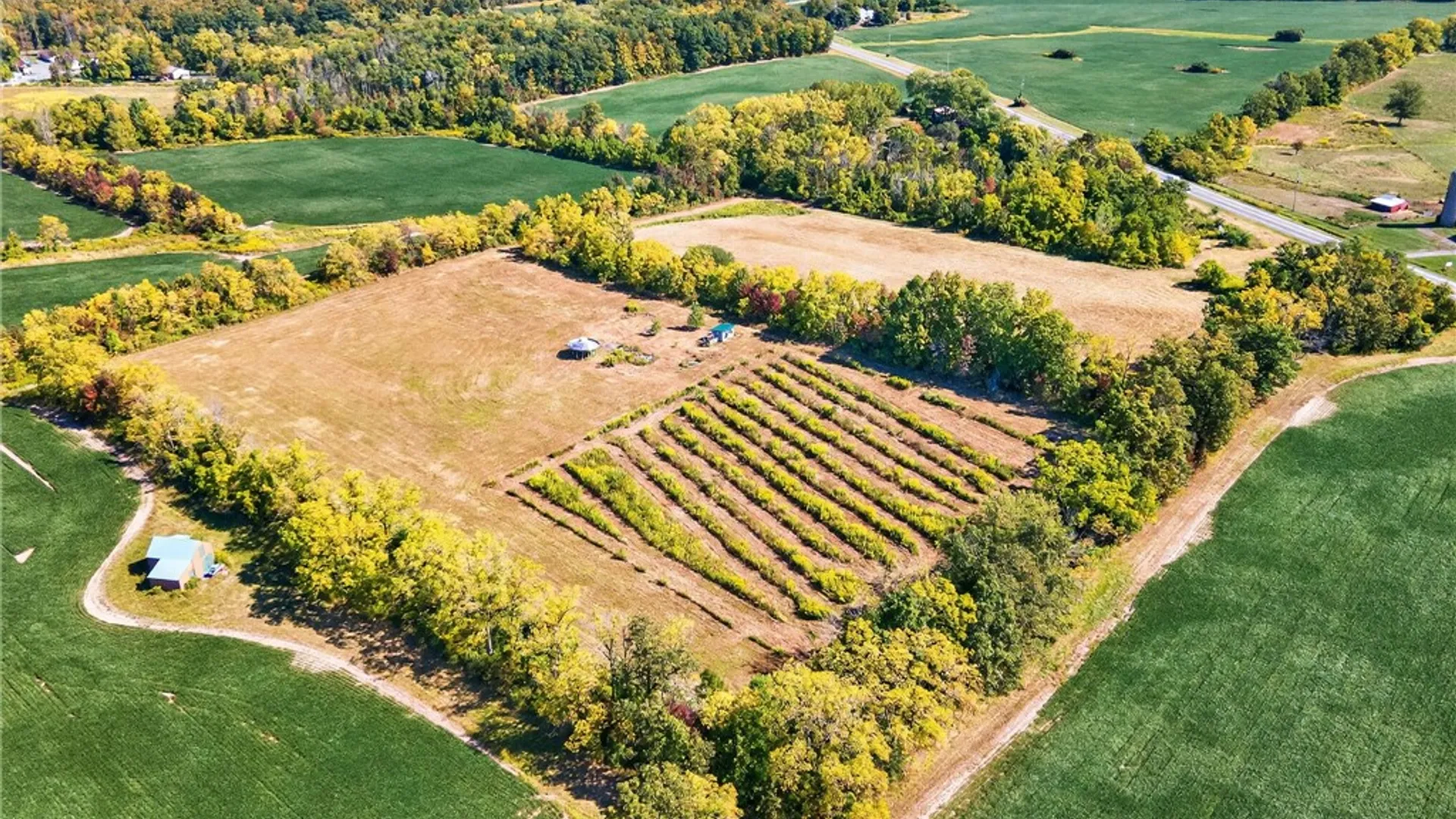 Property at 8850 Route 414, Lodi, NY 14860 17