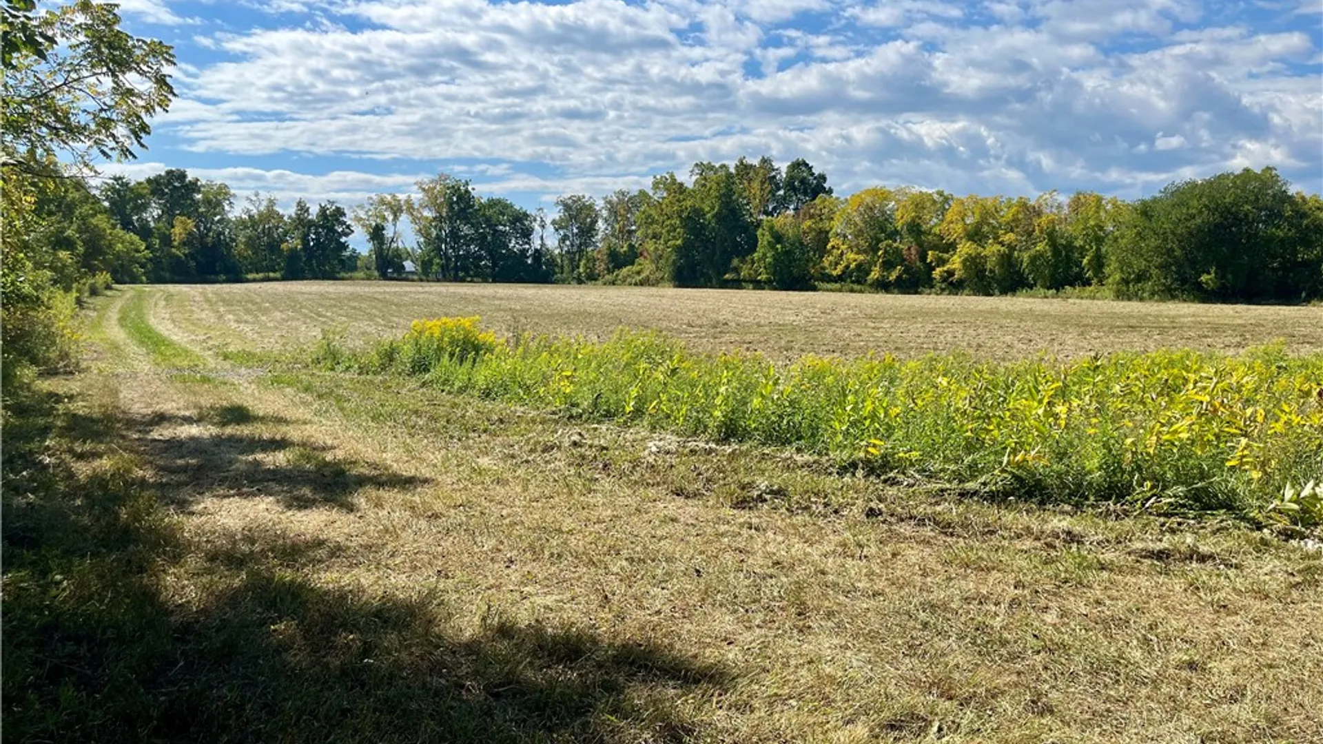 Property at 8850 Route 414, Lodi, NY 14860 21