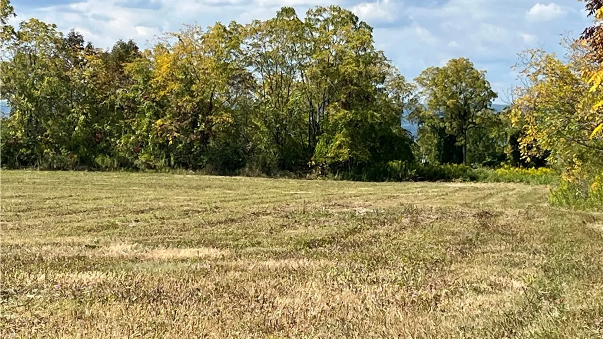 Property at 8850 Route 414, Lodi, NY 14860 22