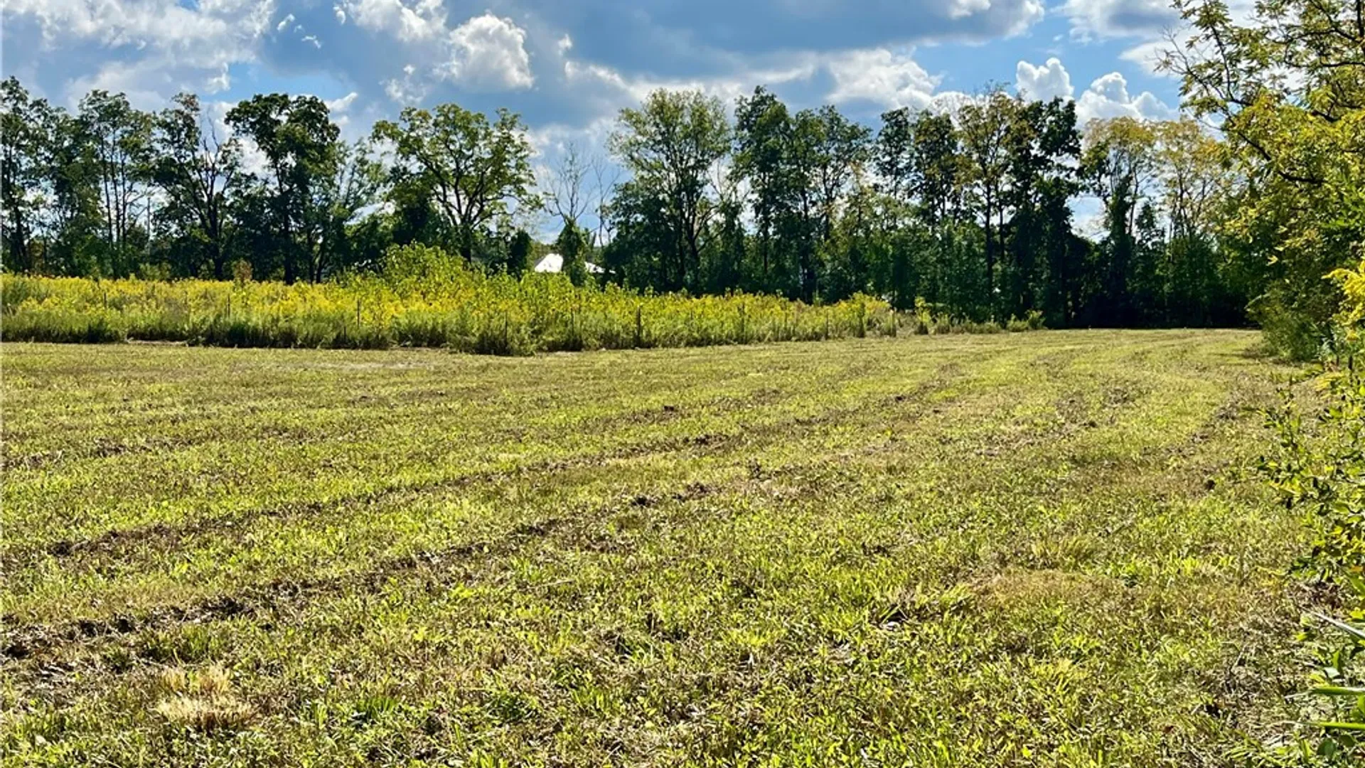 Property at 8850 Route 414, Lodi, NY 14860 23