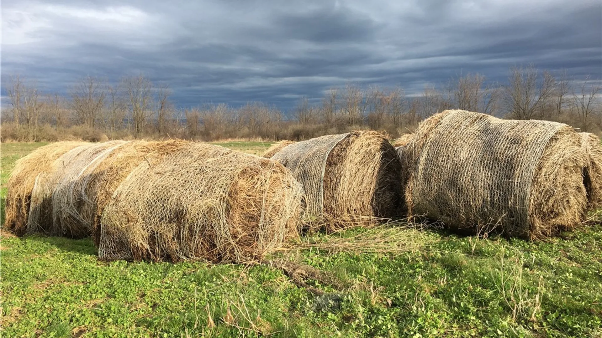 Property at 8850 Route 414, Lodi, NY 14860 27