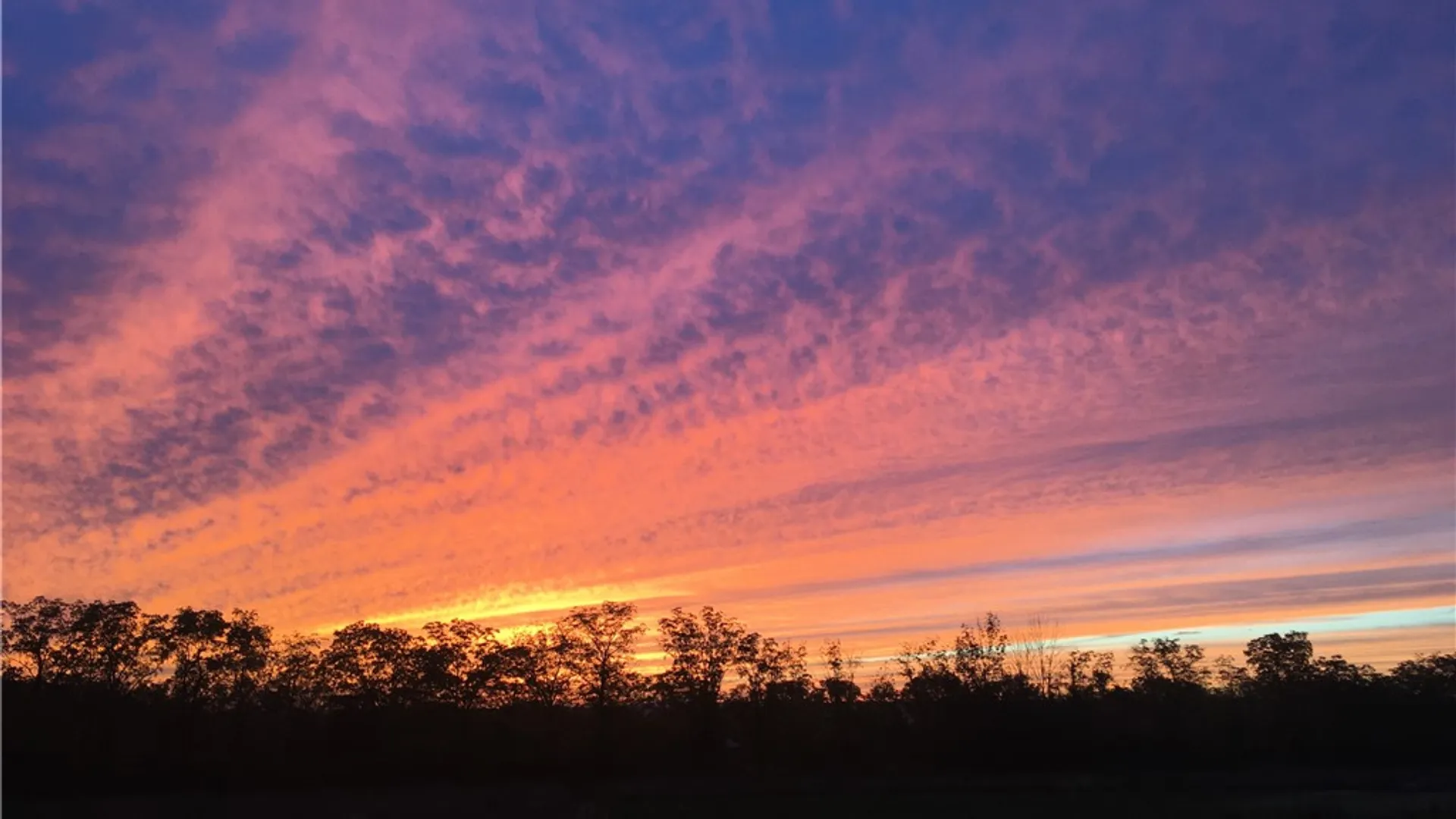 Property at 8850 Route 414, Lodi, NY 14860 3