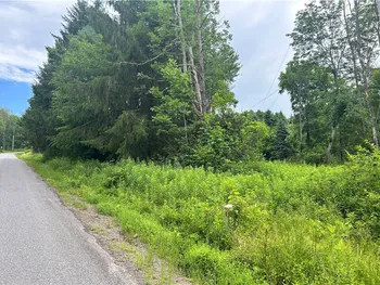 Property at Lot 4 Sisson Hill Road, Unadilla, NY 13849