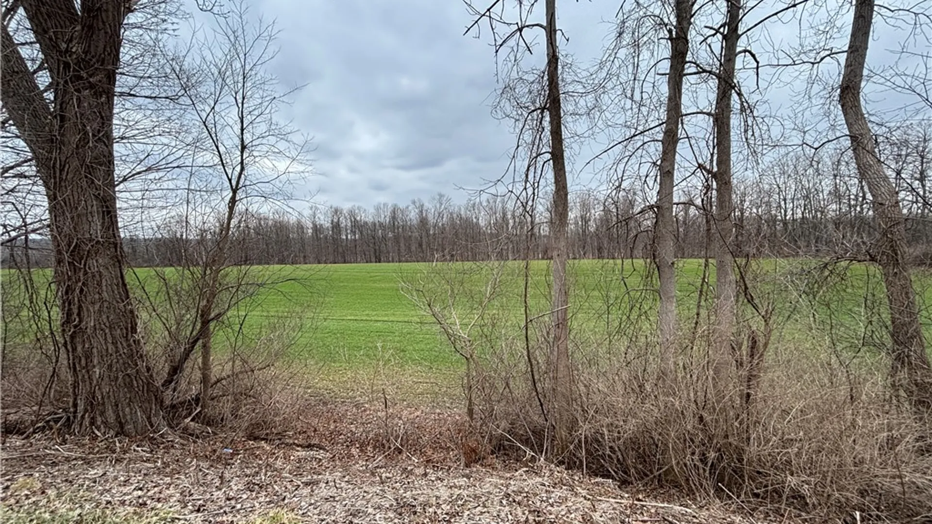 Property at Lyon Rd, Palmyra, NY 14522 2