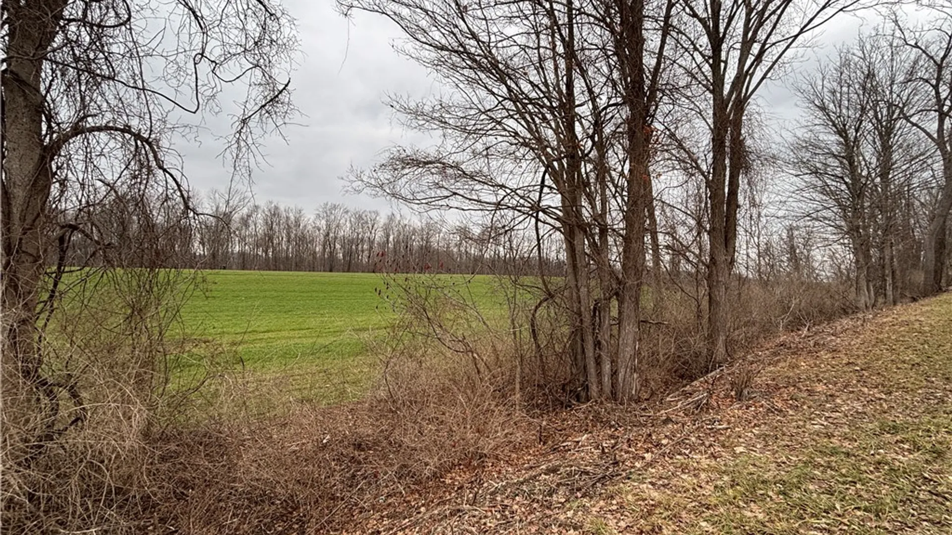Property at Lyon Rd, Palmyra, NY 14522 7