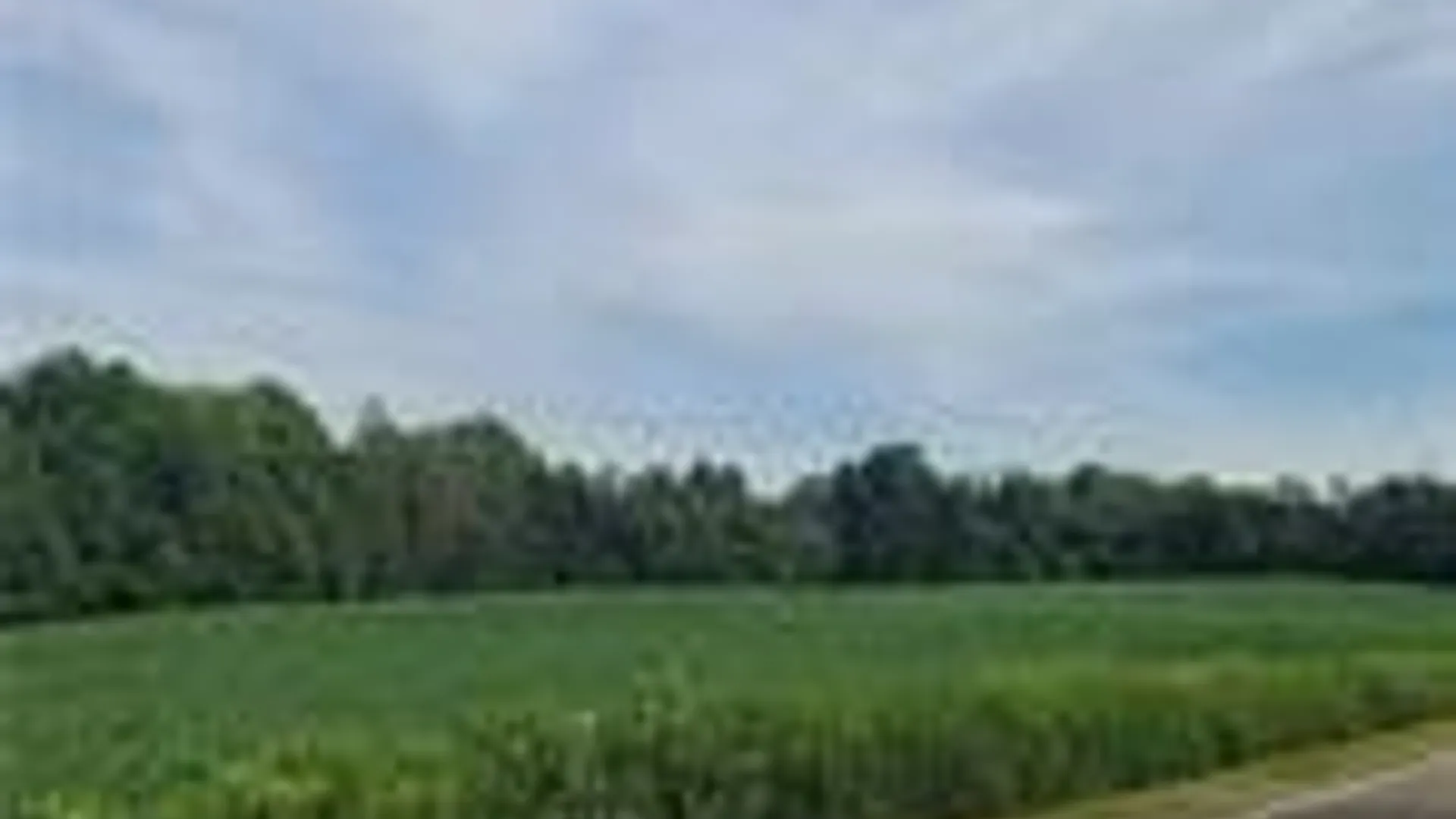 Property at 001 Lot A Bowen Road, Randolph, NY 14772 15