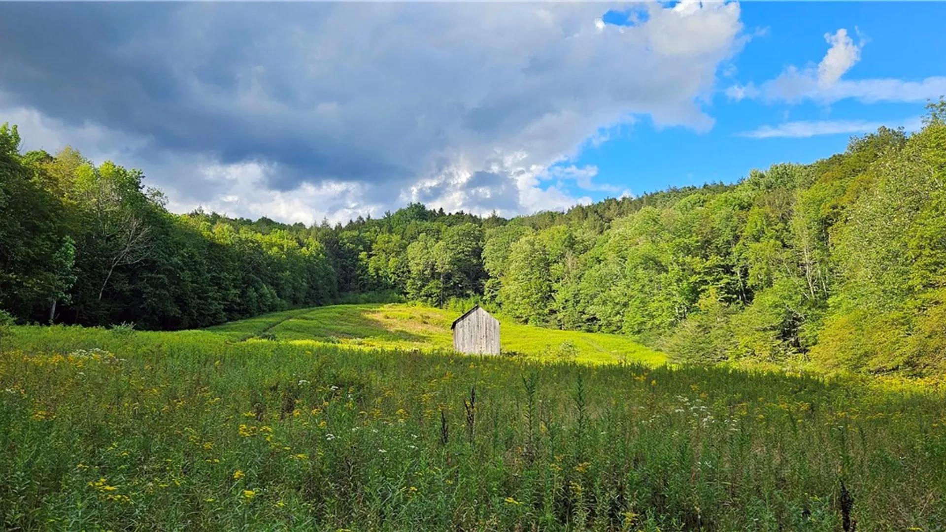 Property at Shaver Hollow, Andes, NY 13731 10