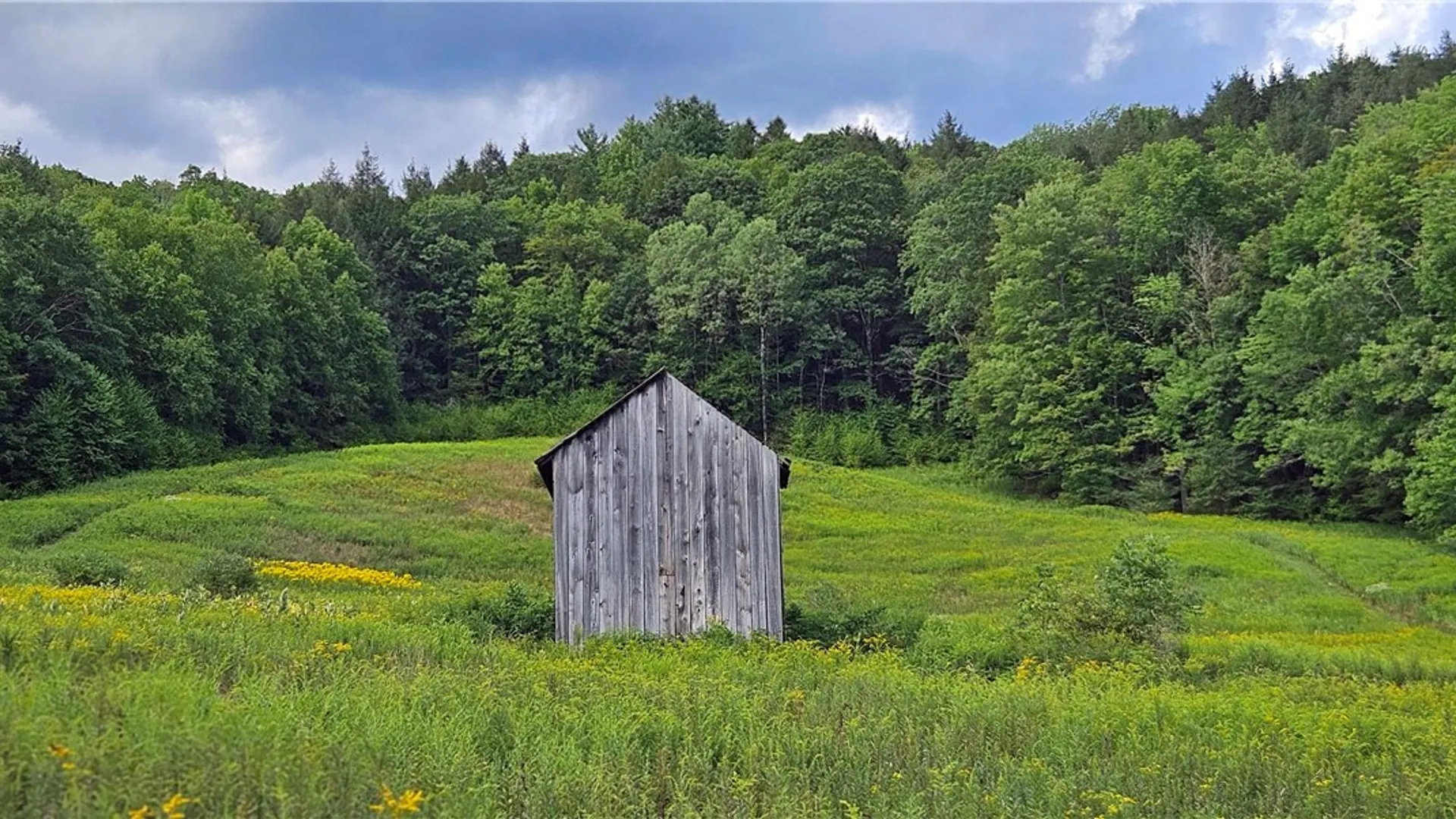 Property at Shaver Hollow, Andes, NY 13731 11