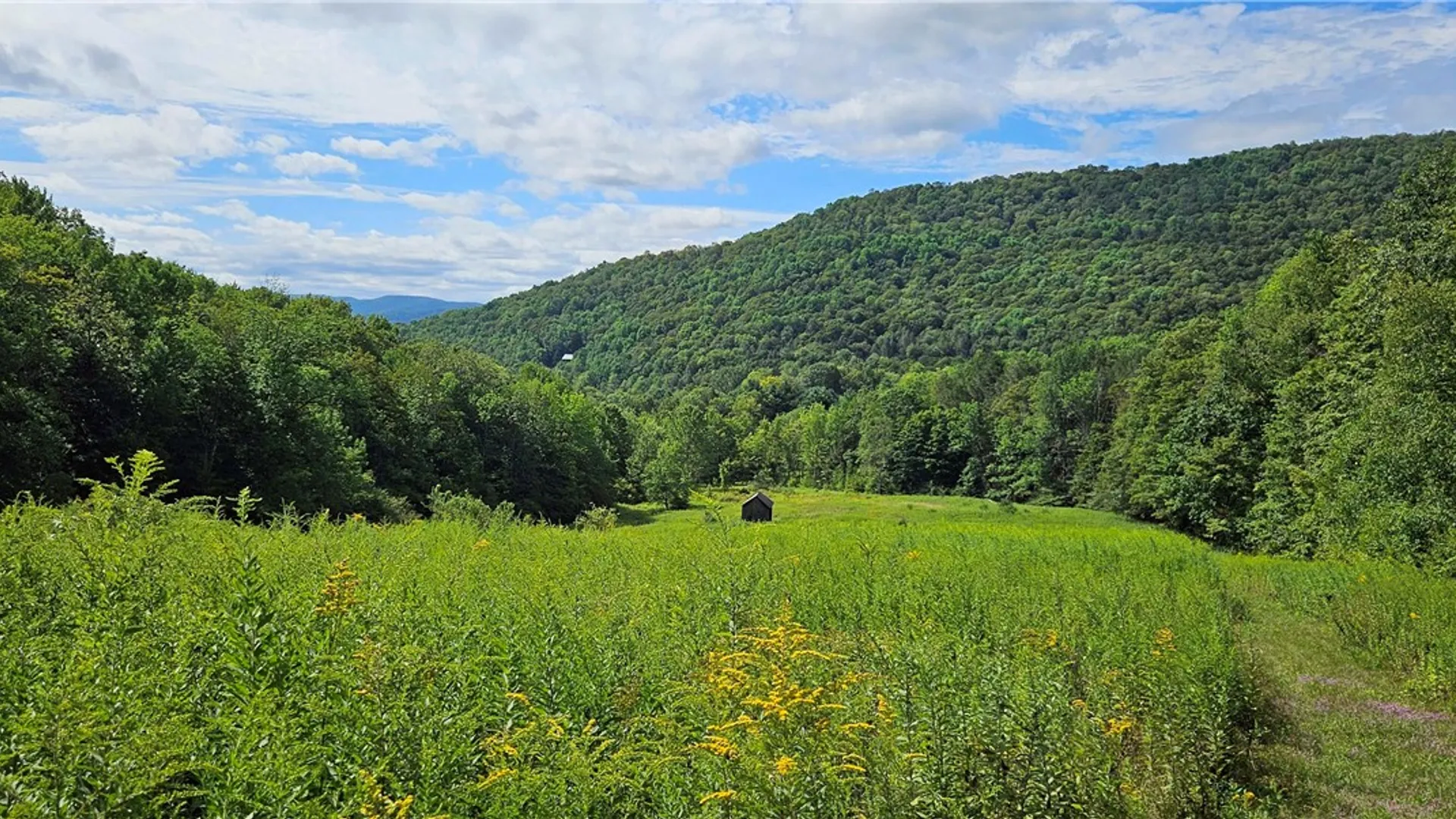 Property at Shaver Hollow, Andes, NY 13731 12