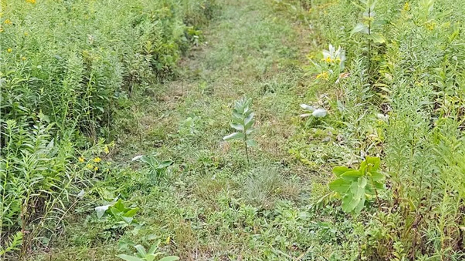 Property at Shaver Hollow, Andes, NY 13731 13