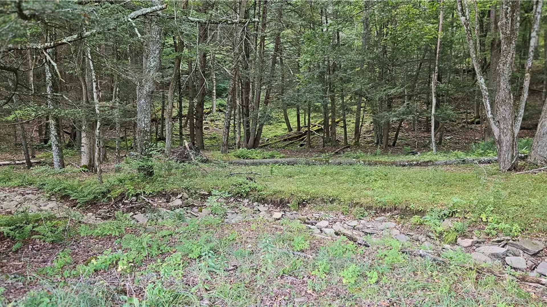 Property at Shaver Hollow, Andes, NY 13731 14