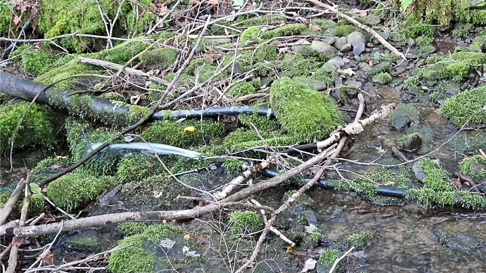 Property at Shaver Hollow, Andes, NY 13731 16