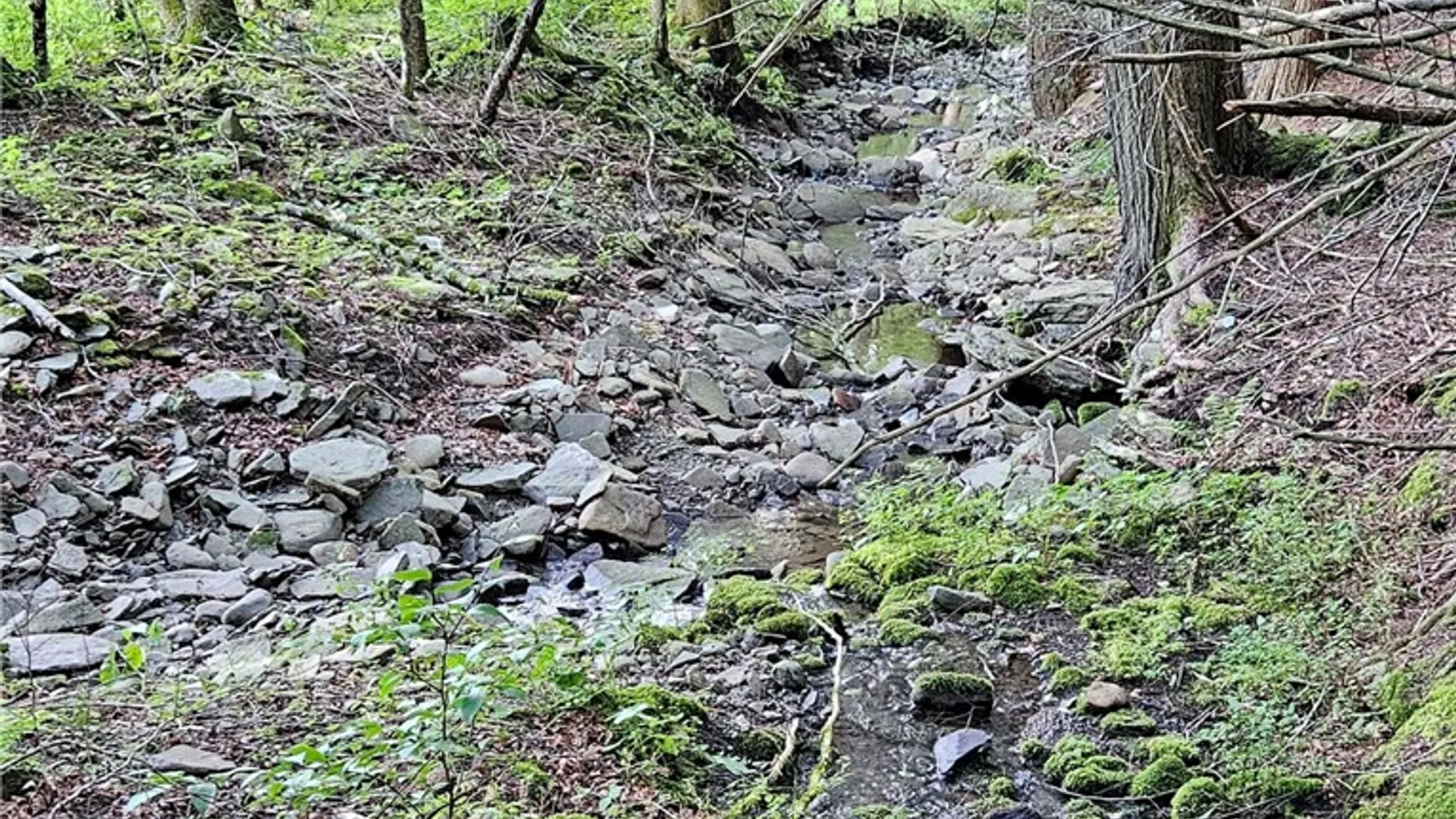 Property at Shaver Hollow, Andes, NY 13731 17