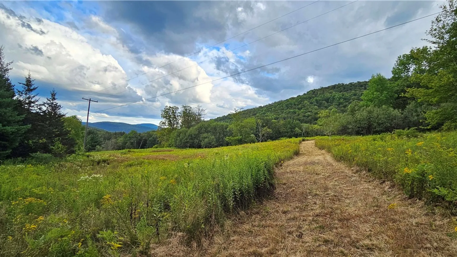 Property at Shaver Hollow, Andes, NY 13731 18