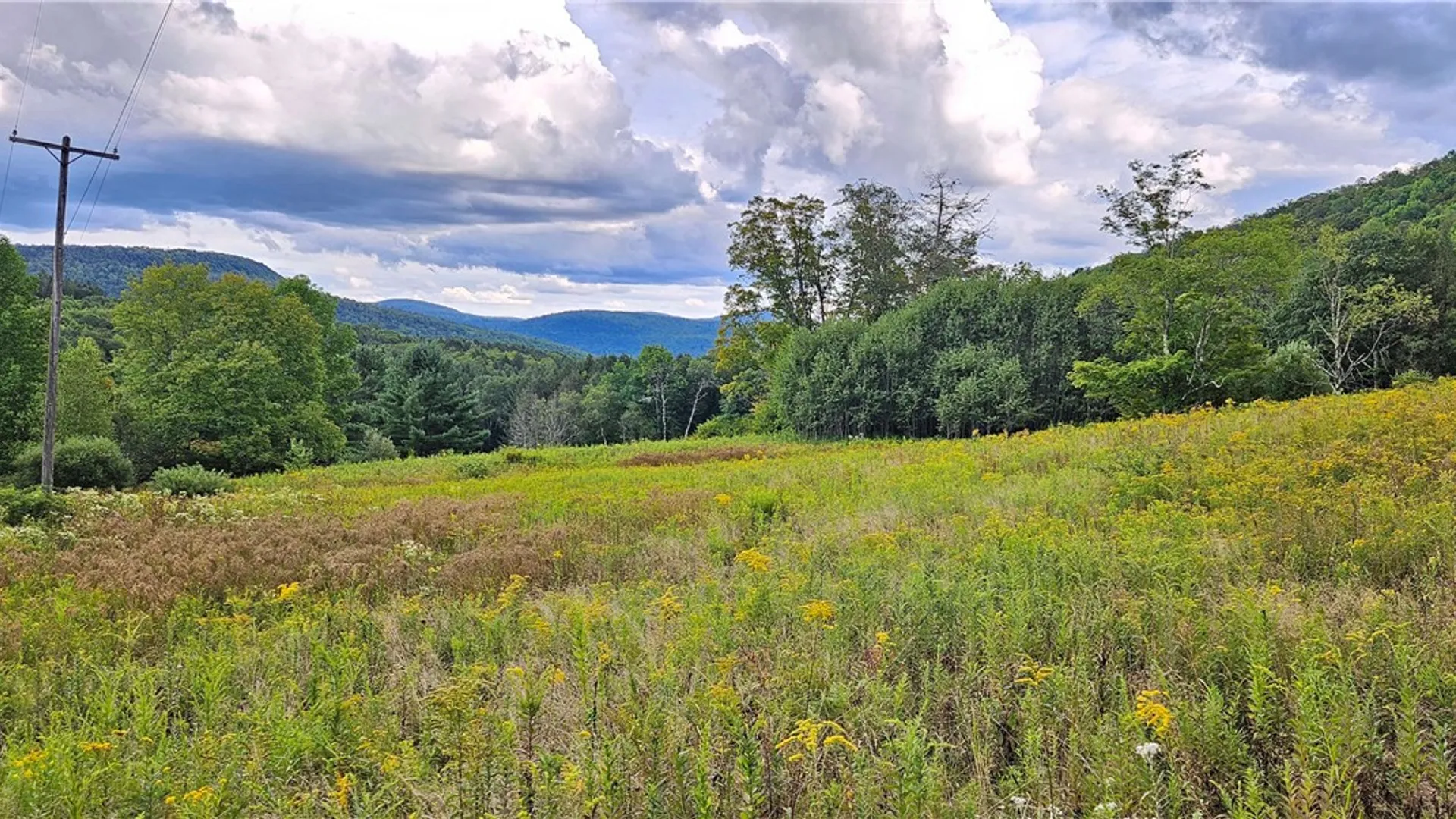 Property at Shaver Hollow, Andes, NY 13731 19