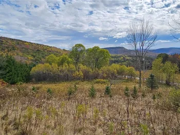 Property at Shaver Hollow, Andes, NY 13731