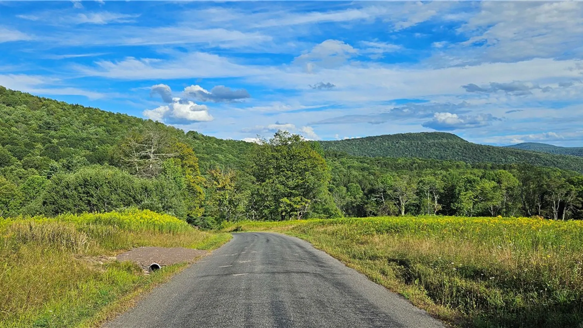 Property at Shaver Hollow, Andes, NY 13731 2