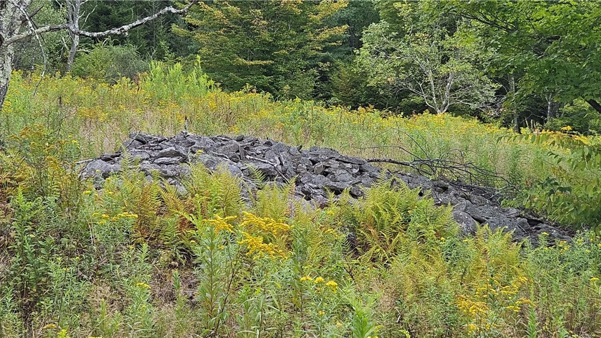 Property at Shaver Hollow, Andes, NY 13731 20