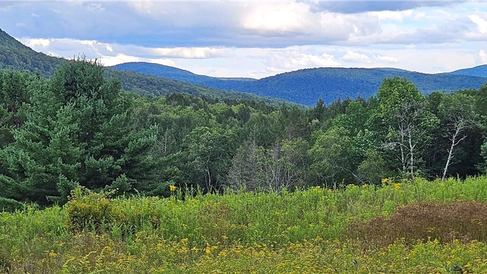 Property at Shaver Hollow, Andes, NY 13731 21