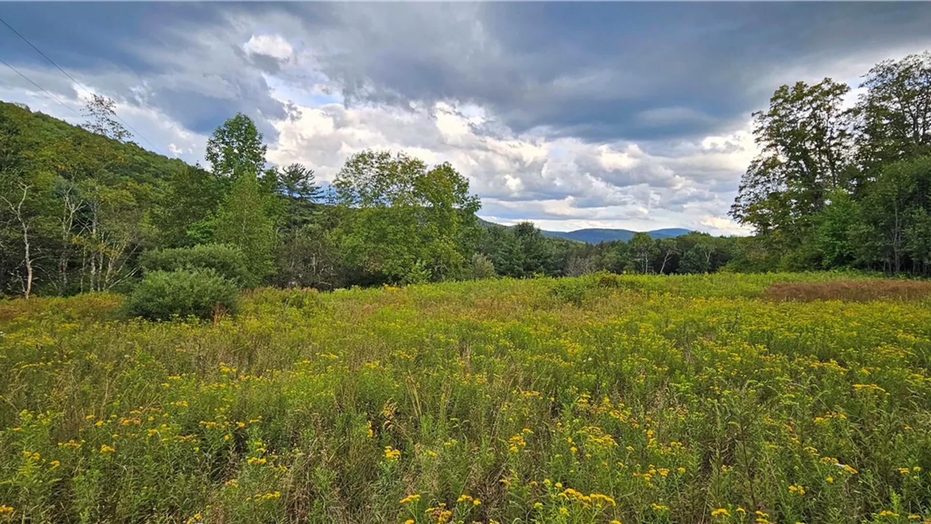 Property at Shaver Hollow, Andes, NY 13731 22