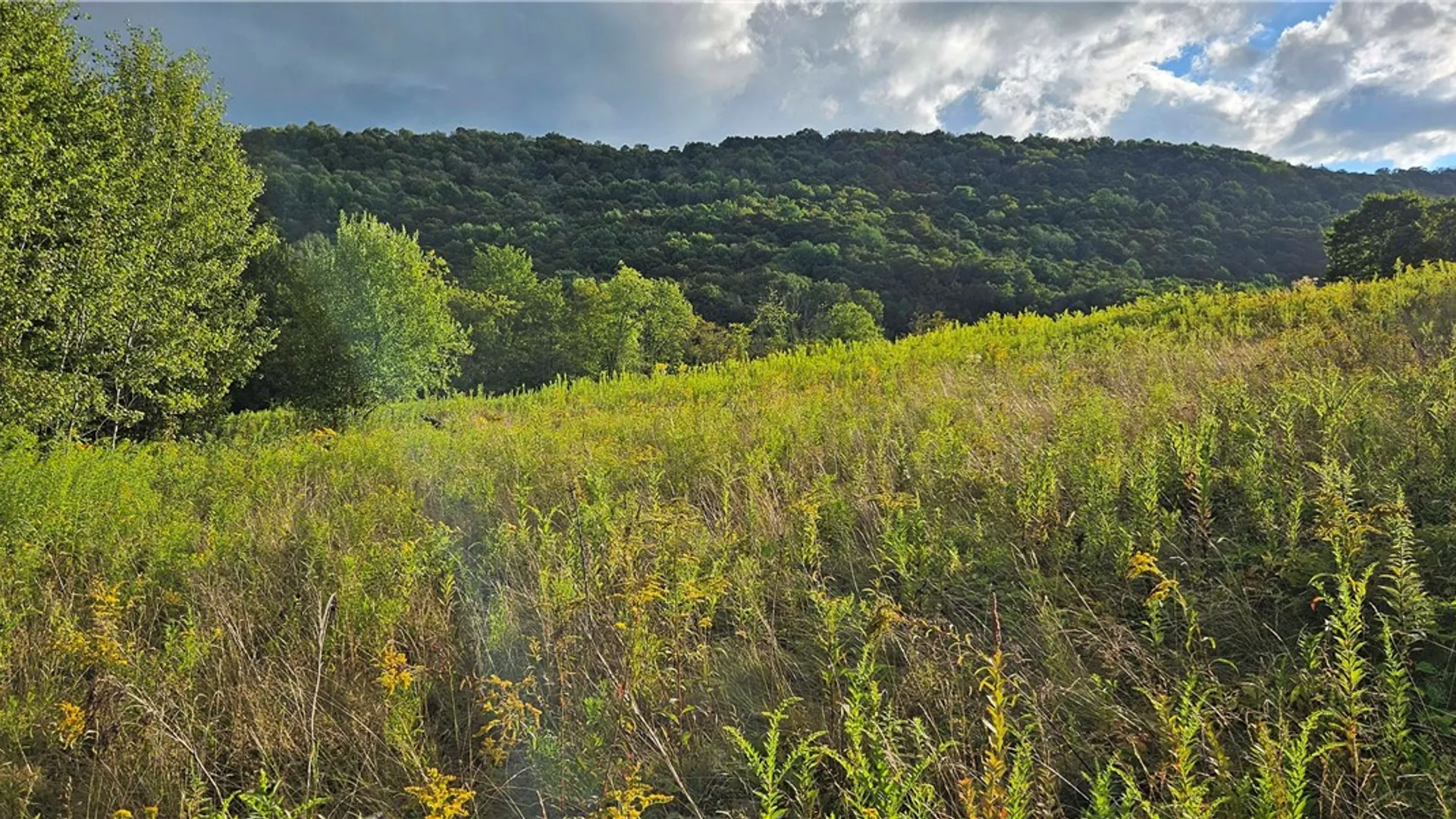 Property at Shaver Hollow, Andes, NY 13731 23