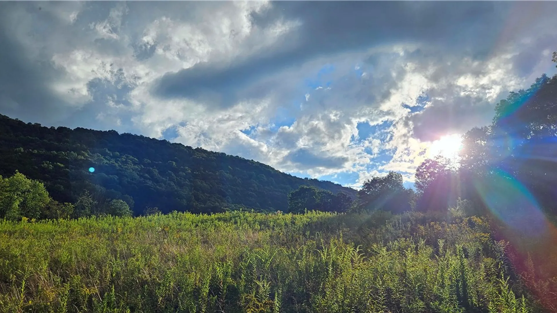 Property at Shaver Hollow, Andes, NY 13731 24