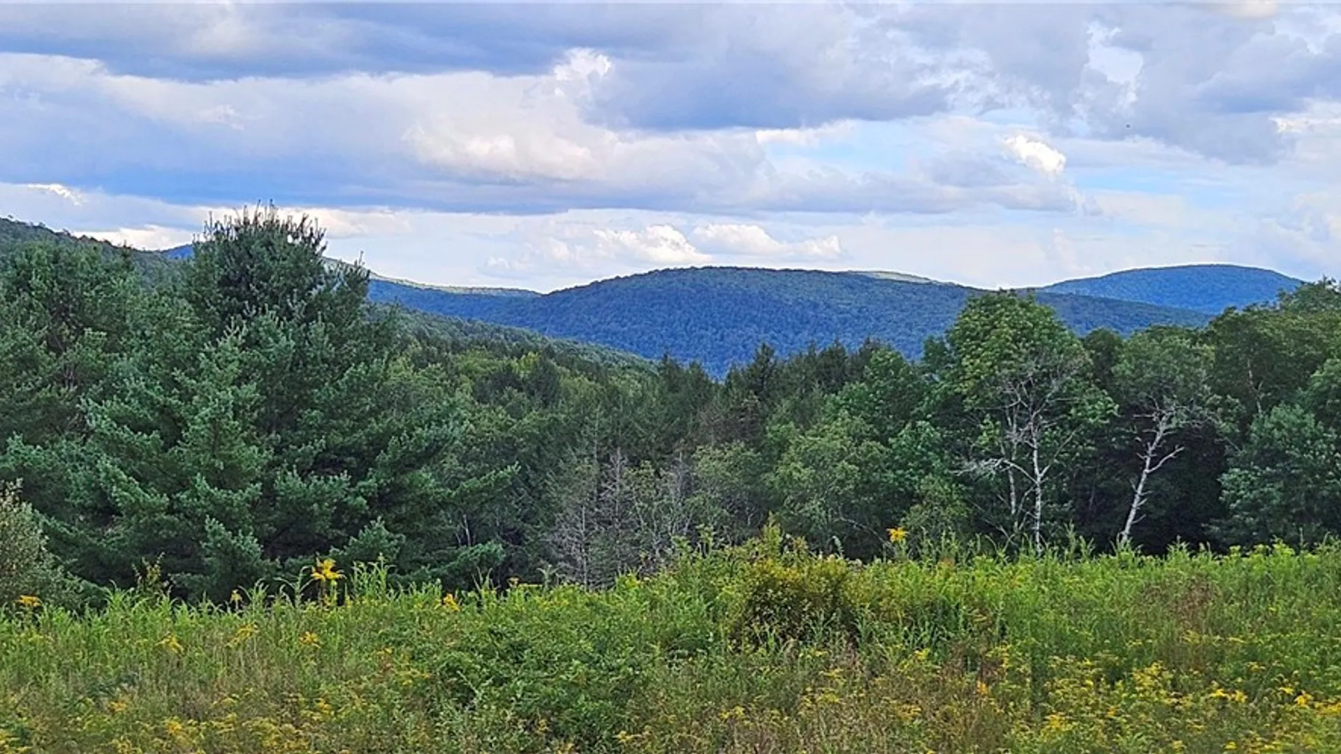 Property at Shaver Hollow, Andes, NY 13731 27